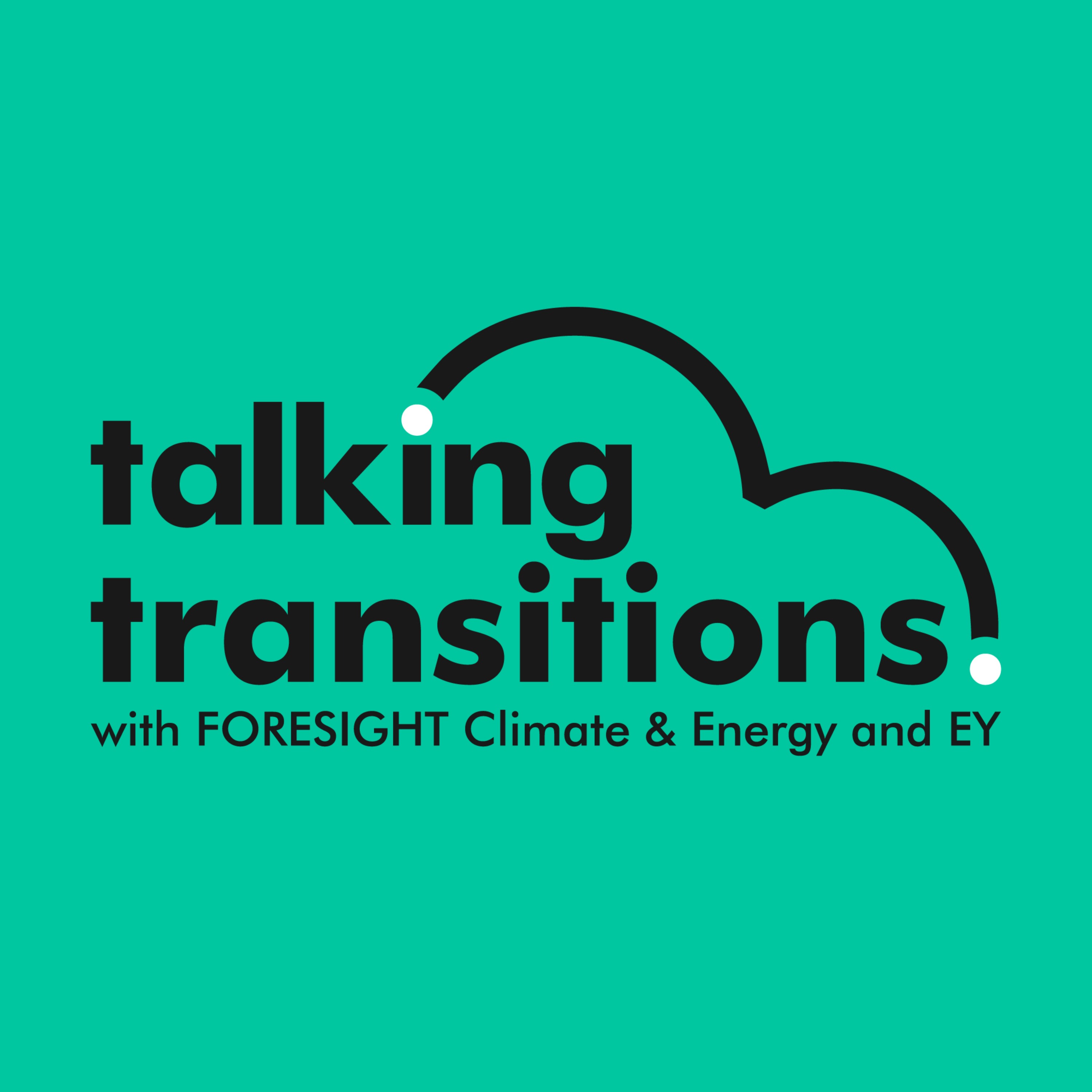 Balancing security and sustainability in the energy transition
