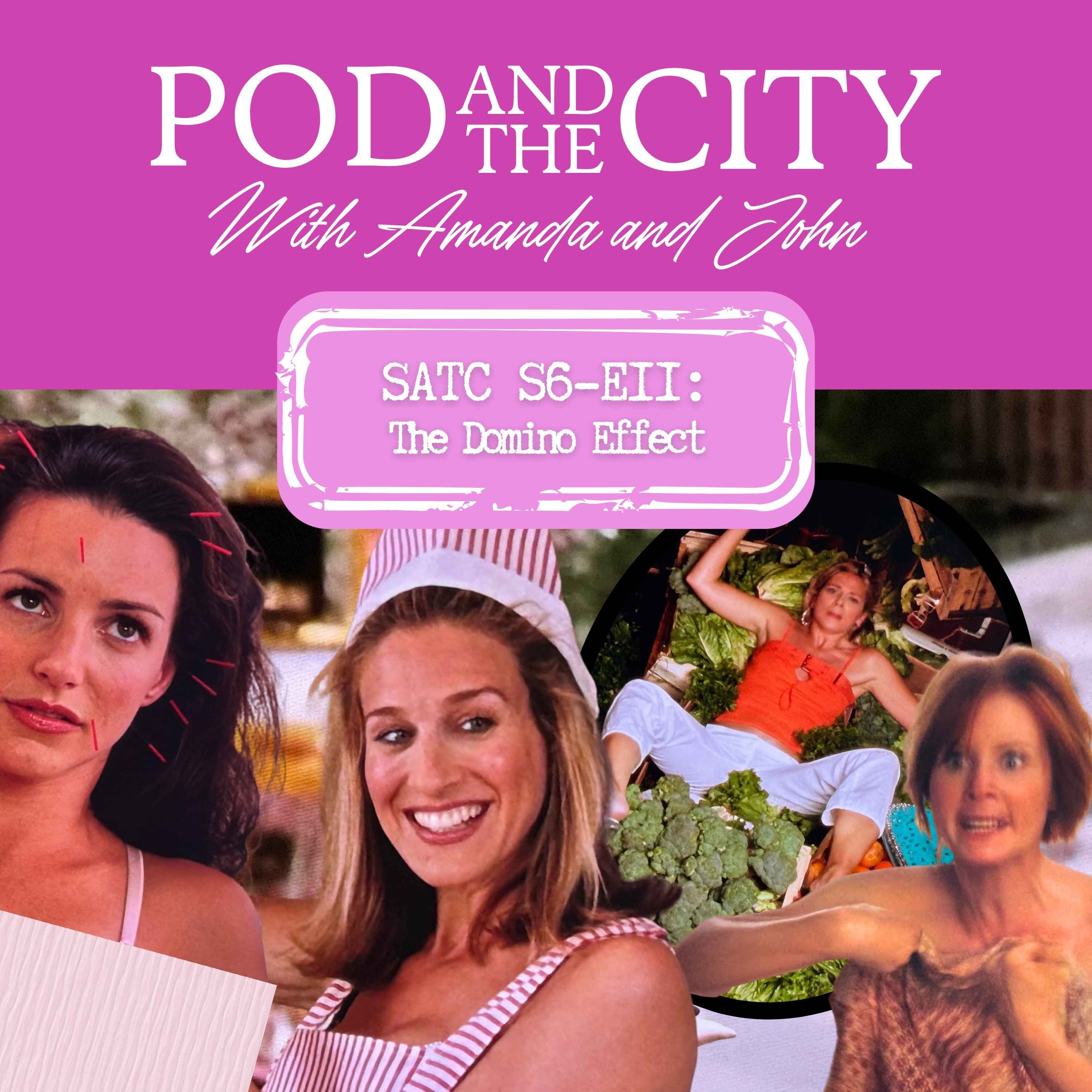 Sex and the City S6 E11 "The Domino Effect" episode artwork