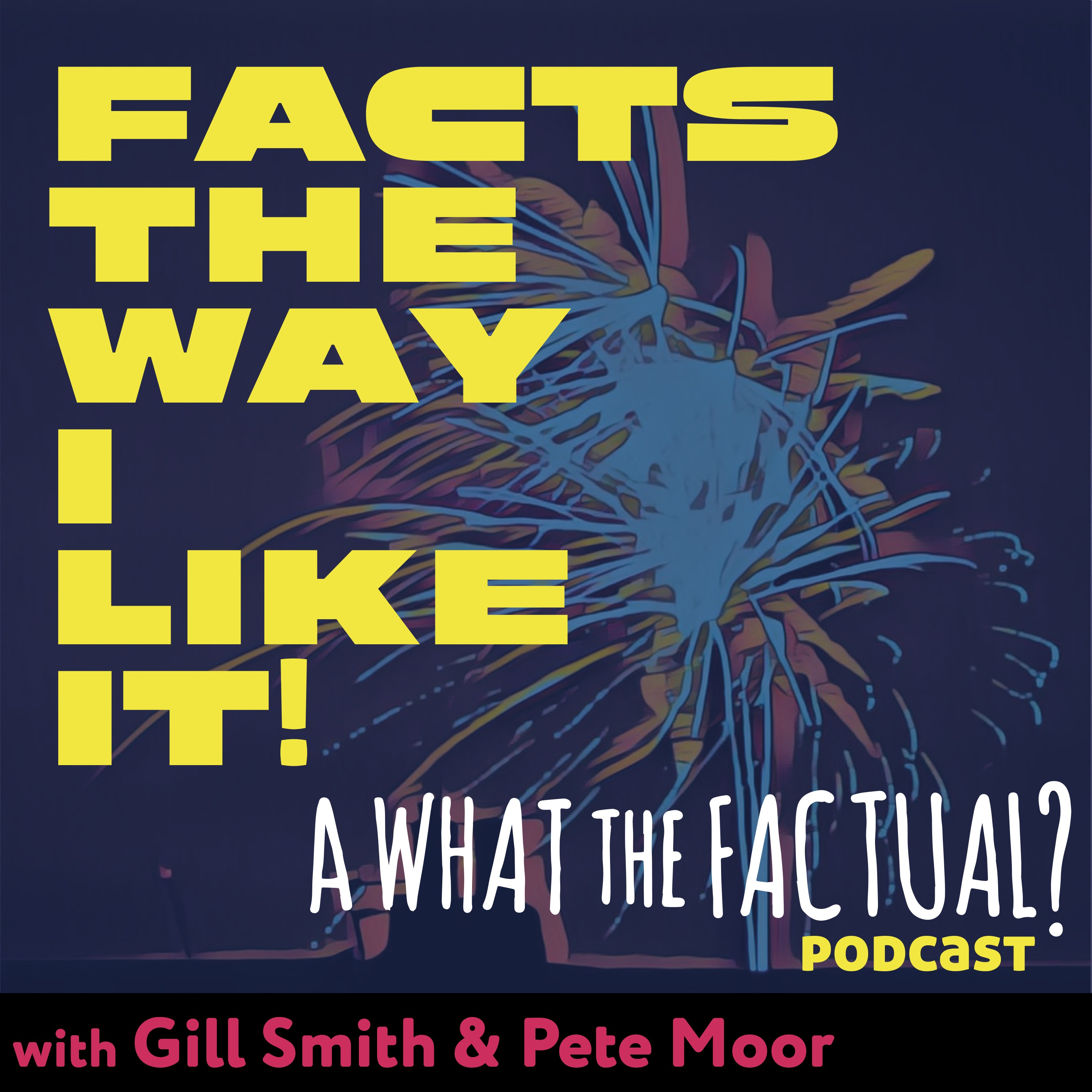 What The Factual? / Facts The Way I Like It!