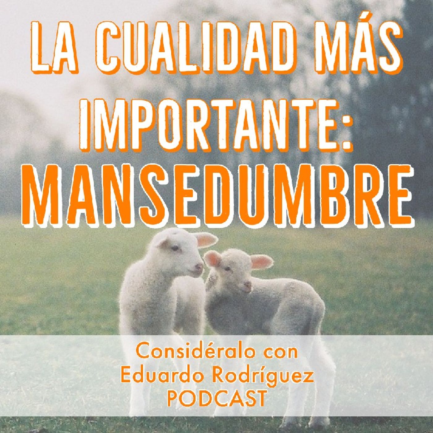Consideralo Con Eduardo Rodriguez