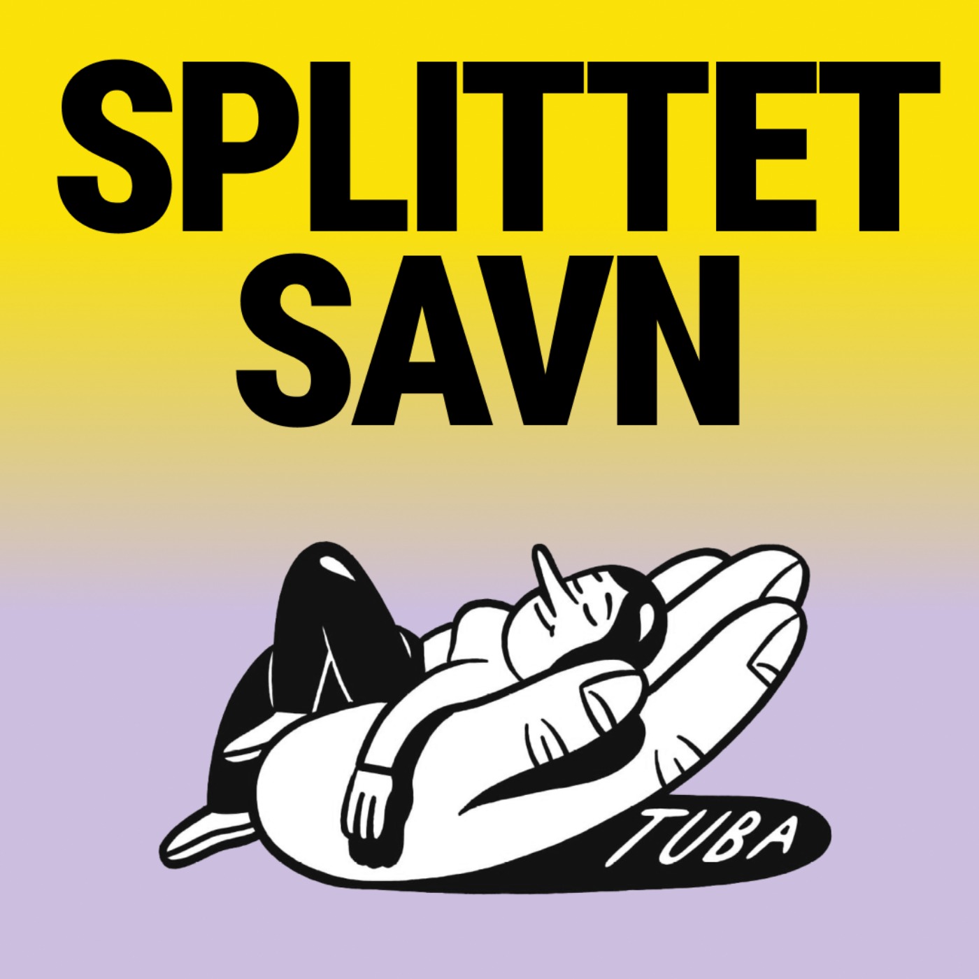 cover art for Splittet Savn
