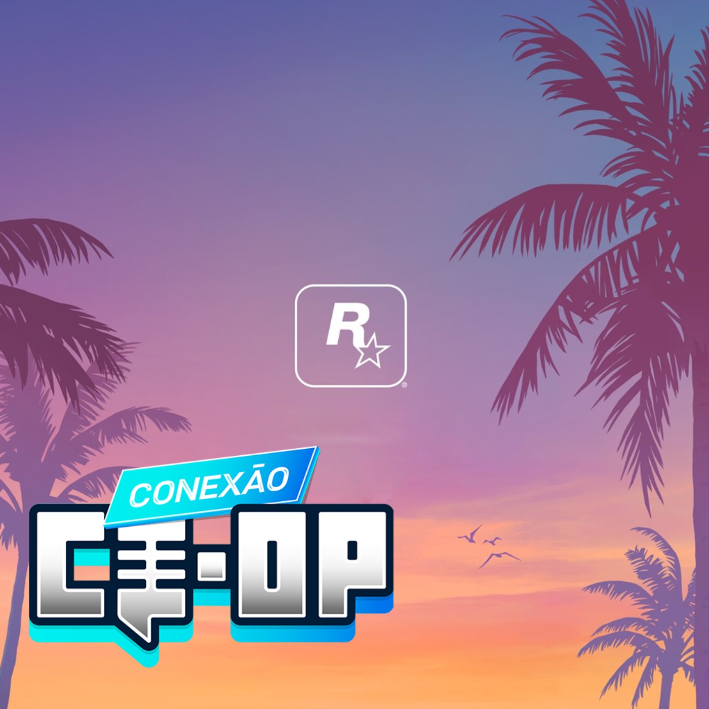 Conexão Co-Op