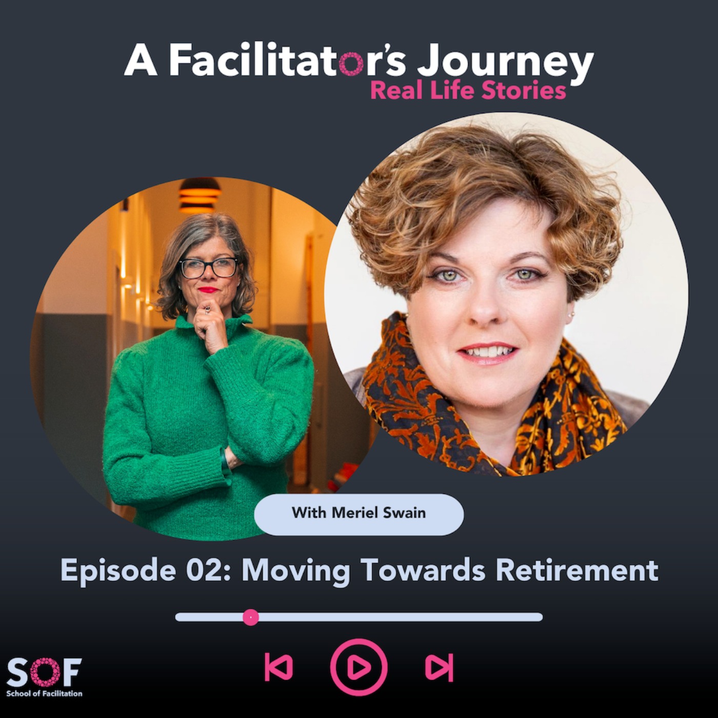 A Facilitator\'s Journey: Real Life Stories