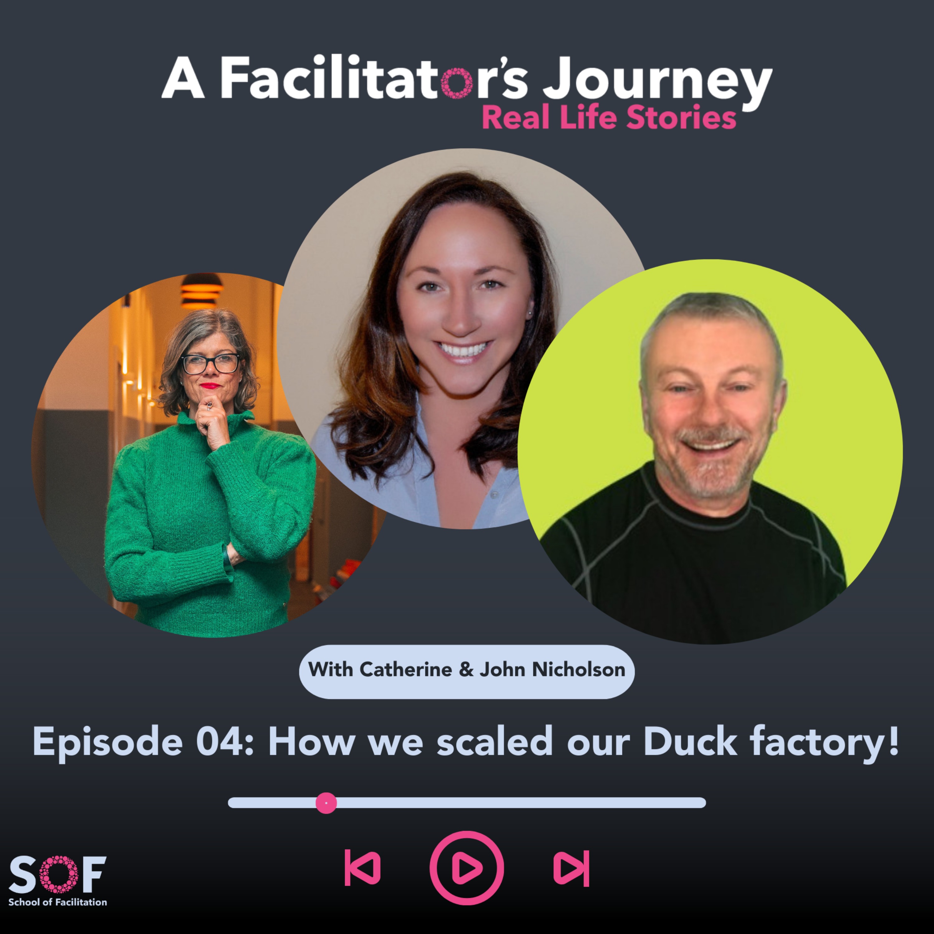 A Facilitator\'s Journey: Real Life Stories