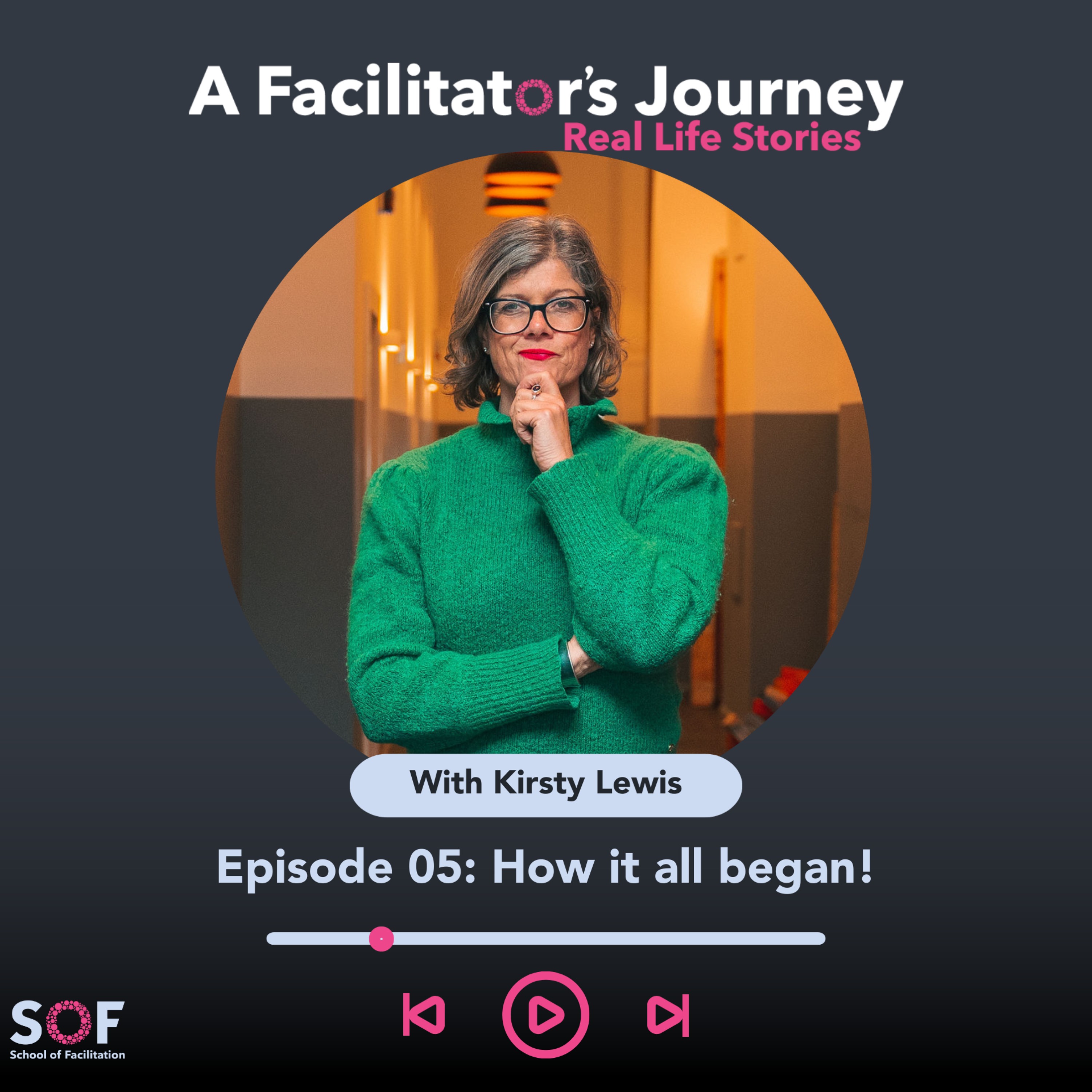 A Facilitator\'s Journey: Real Life Stories