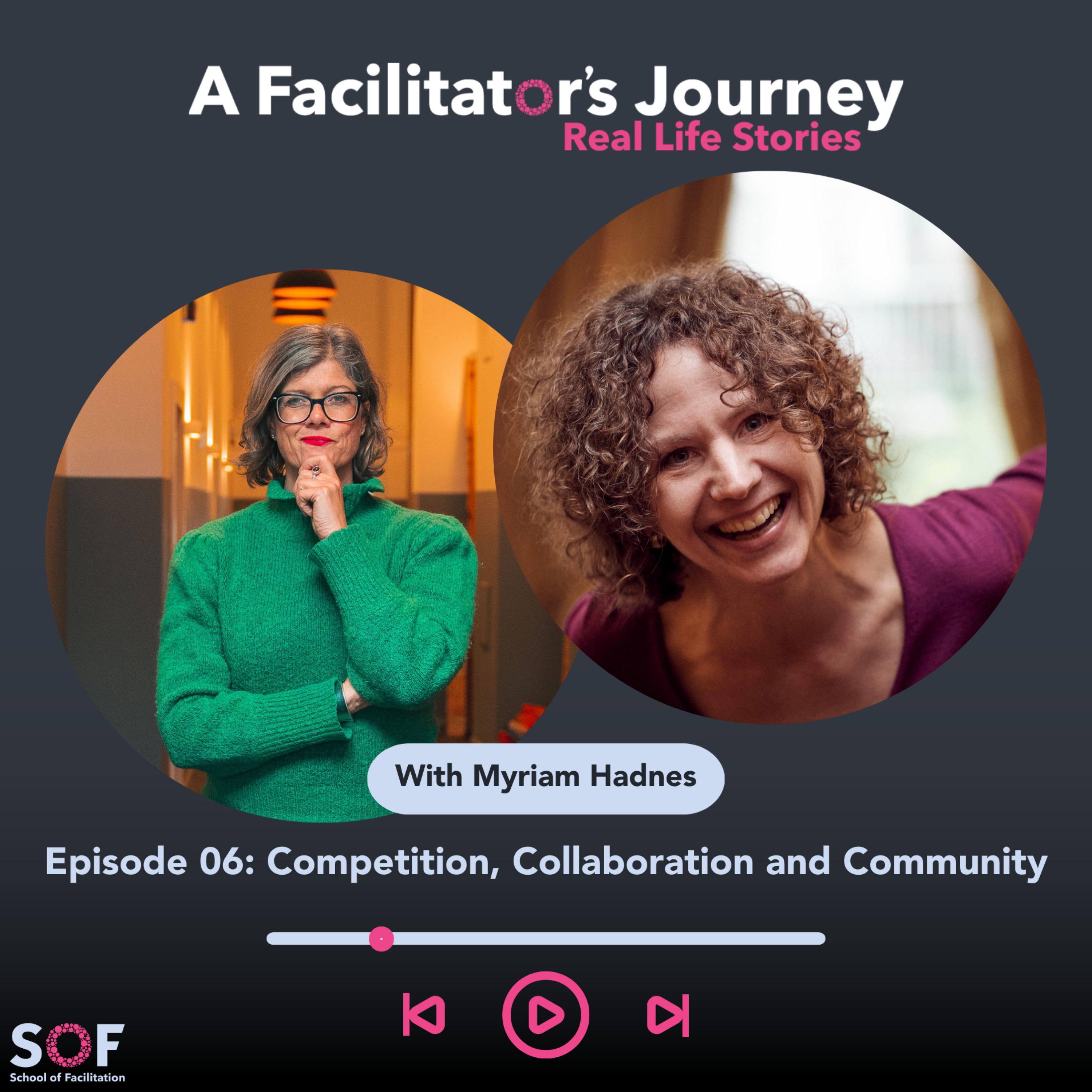 A Facilitator\'s Journey: Real Life Stories