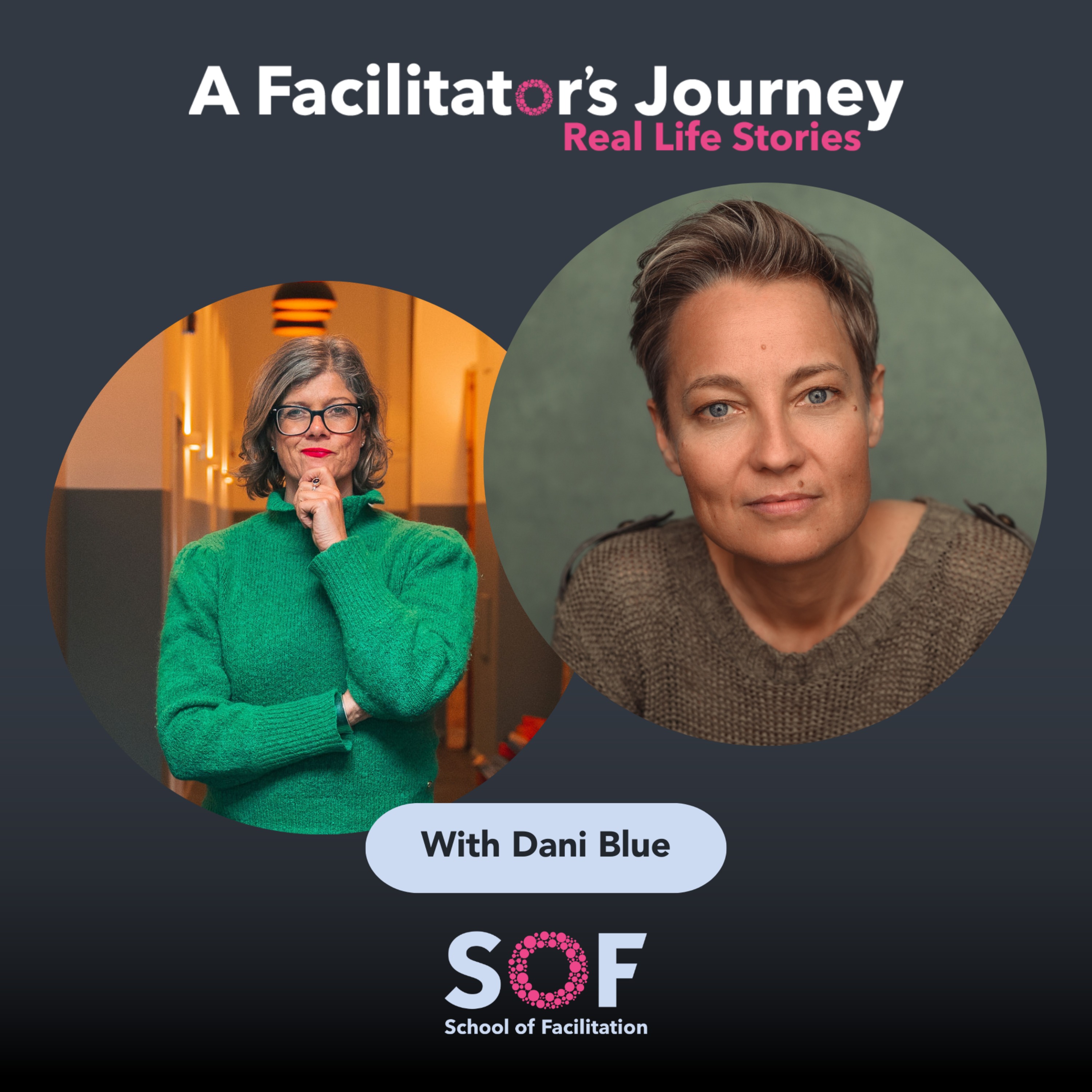 A Facilitator\'s Journey: Real Life Stories