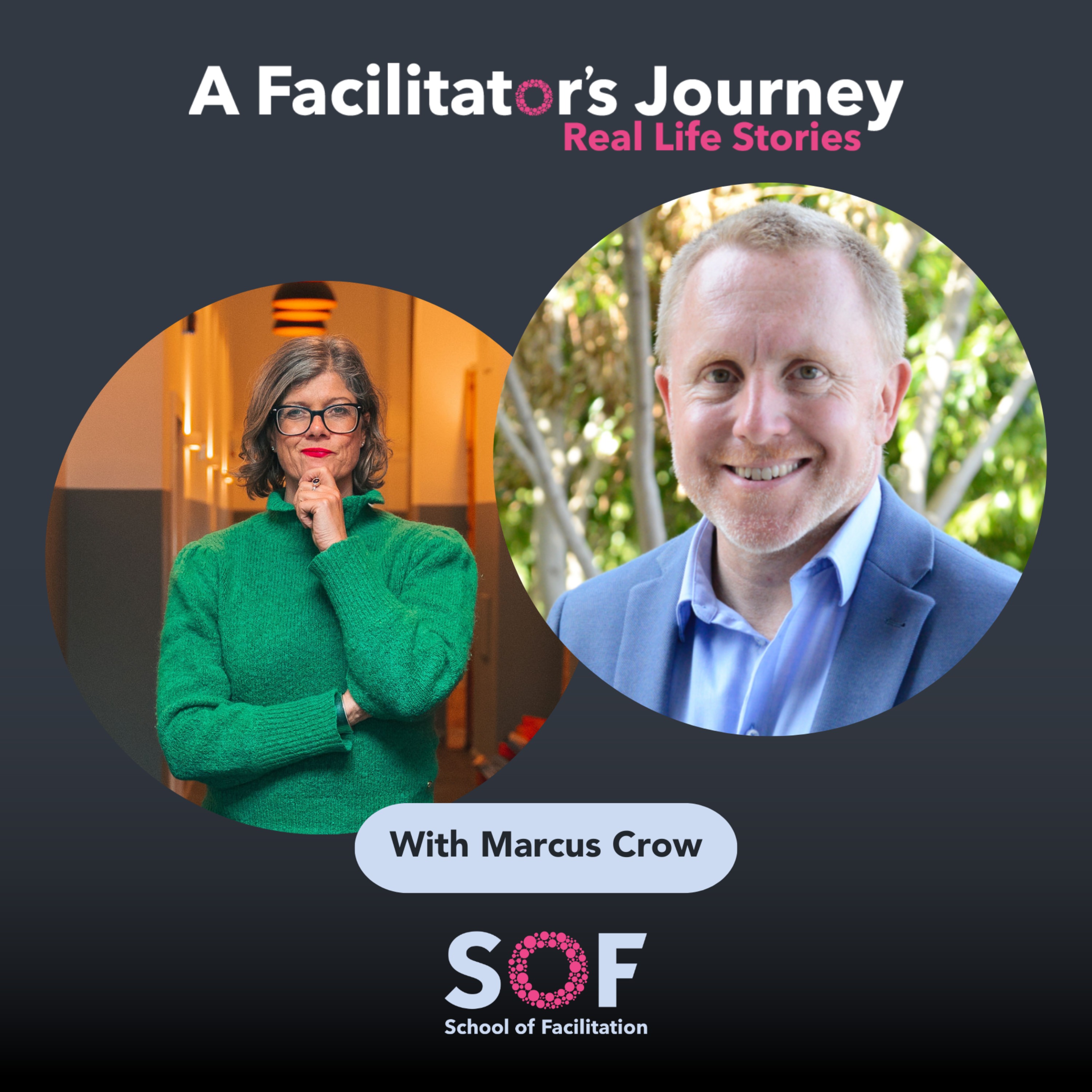 A Facilitator\'s Journey: Real Life Stories