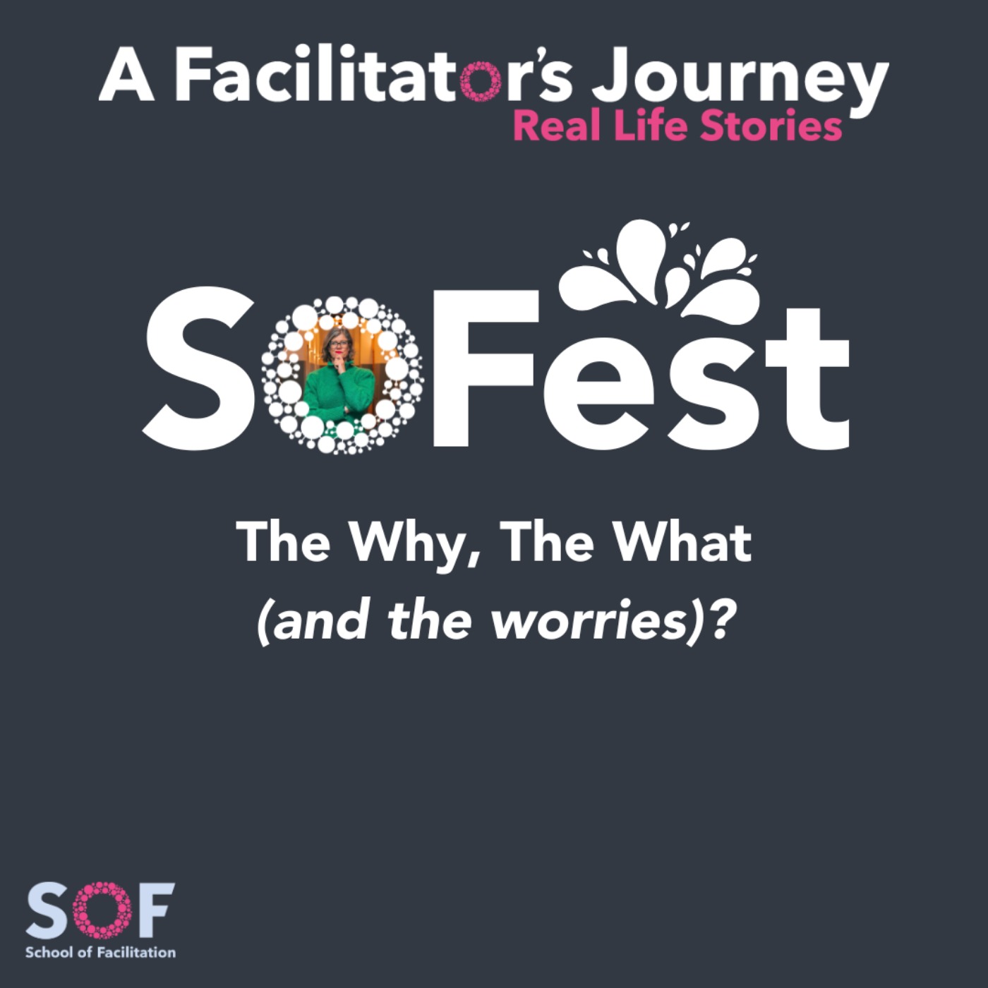 A Facilitator\'s Journey: Real Life Stories