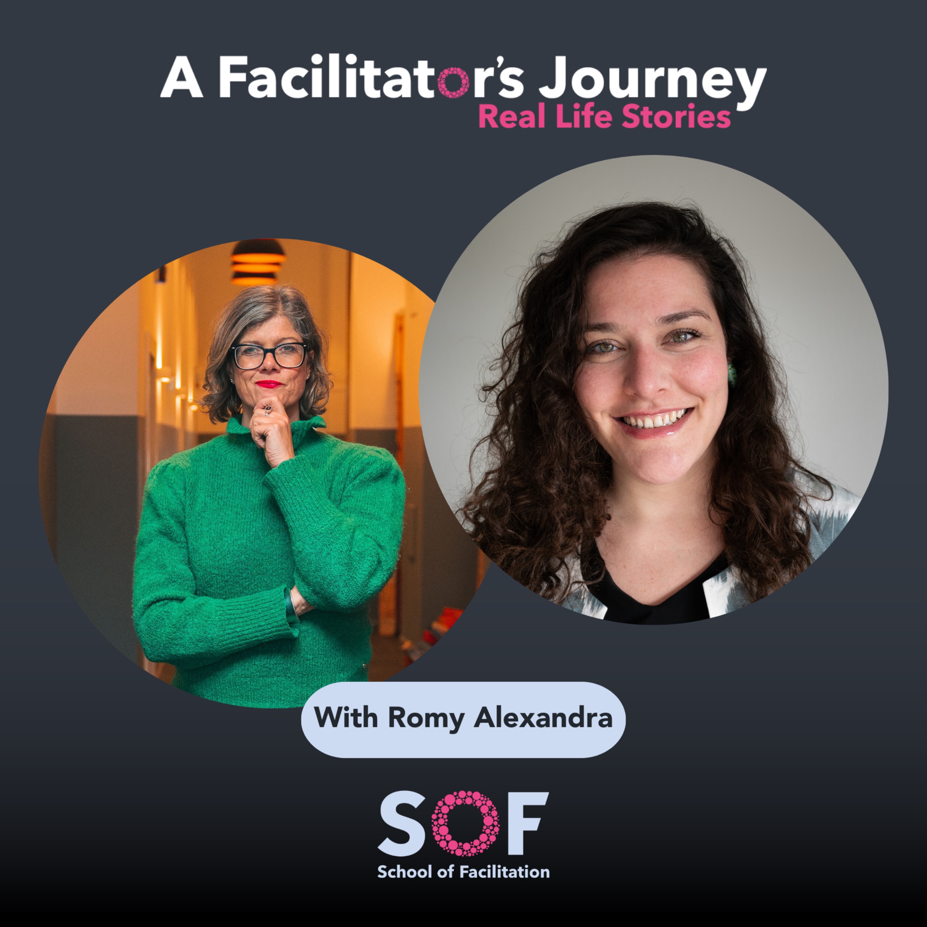 A Facilitator\'s Journey: Real Life Stories
