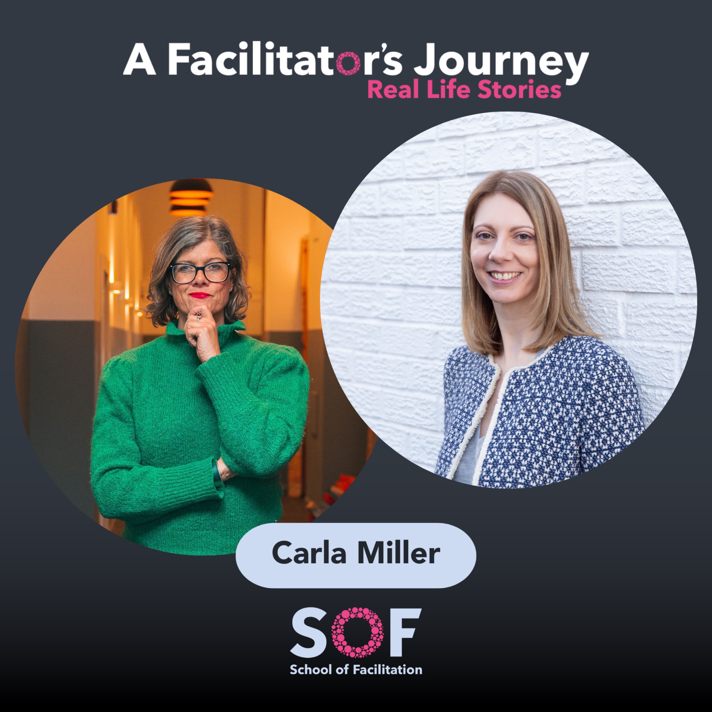 A Facilitator\'s Journey: Real Life Stories