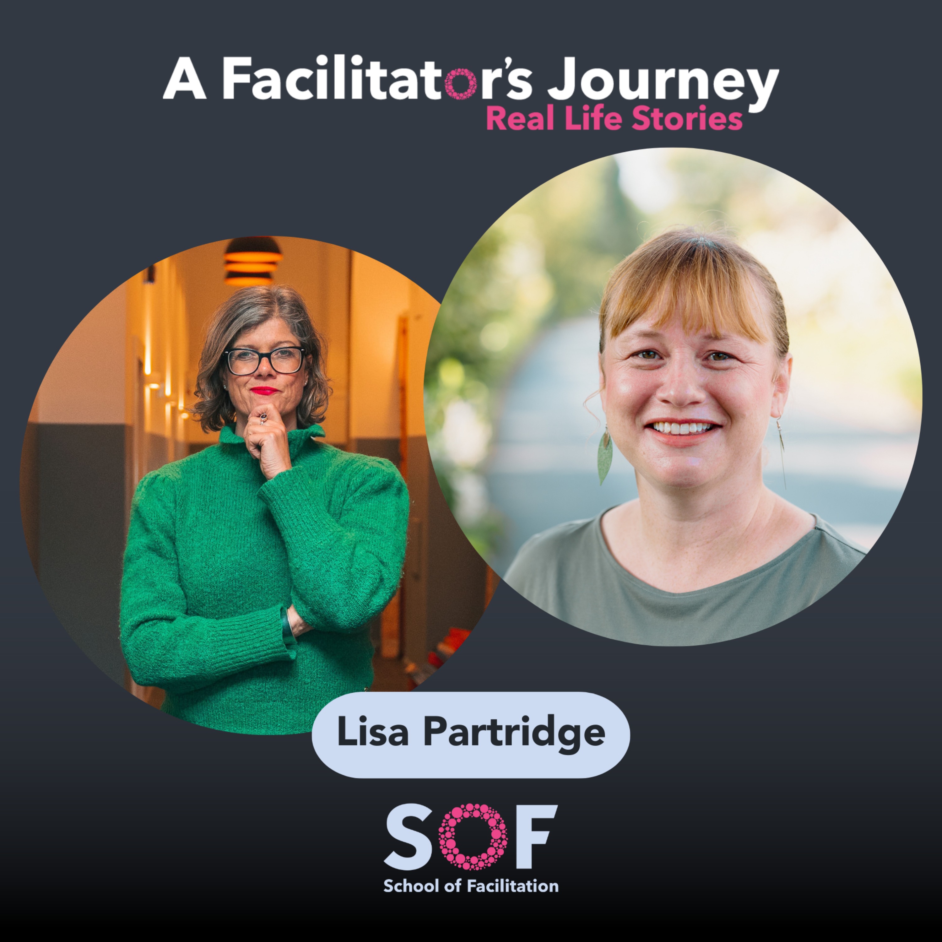 A Facilitator\'s Journey: Real Life Stories