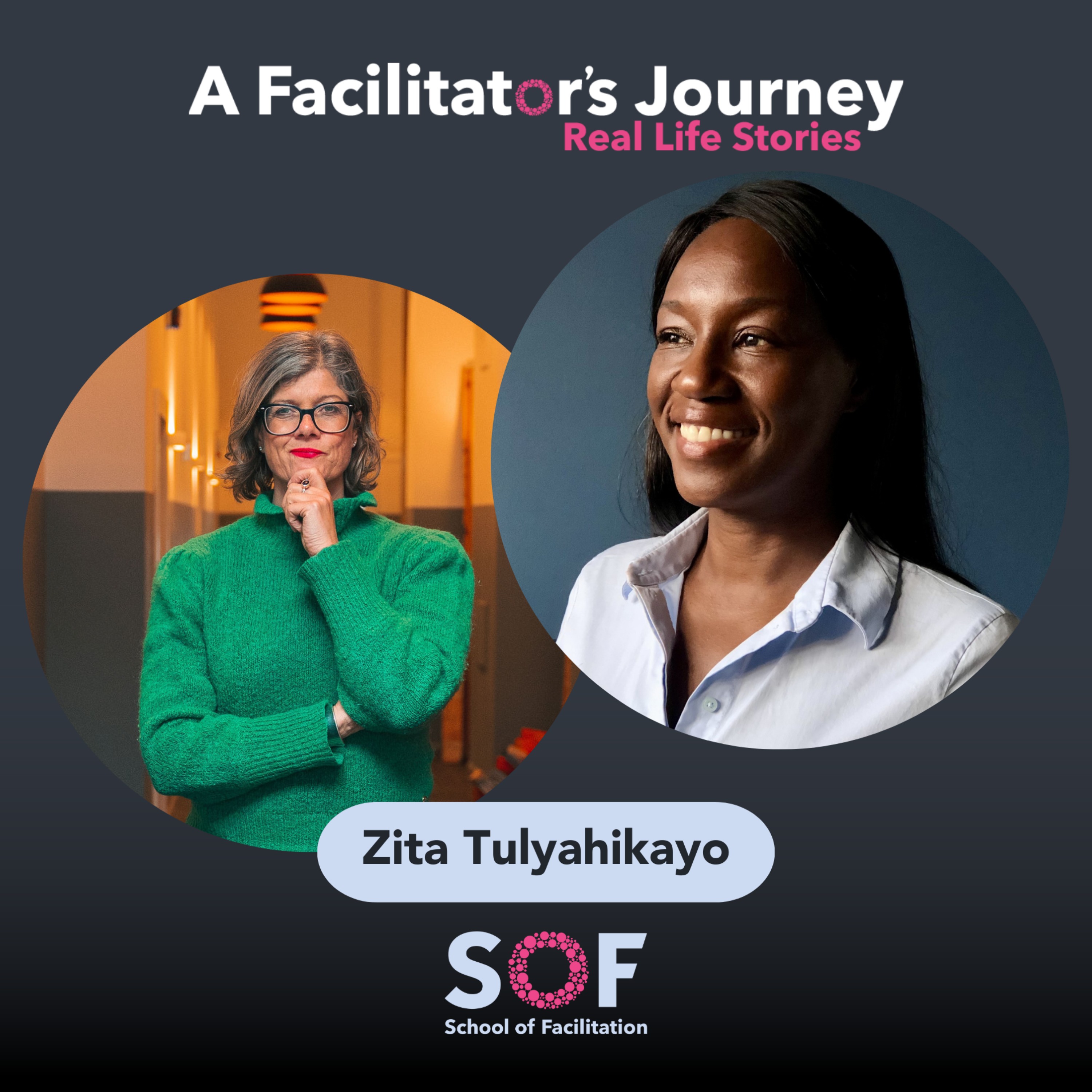 A Facilitator\'s Journey: Real Life Stories