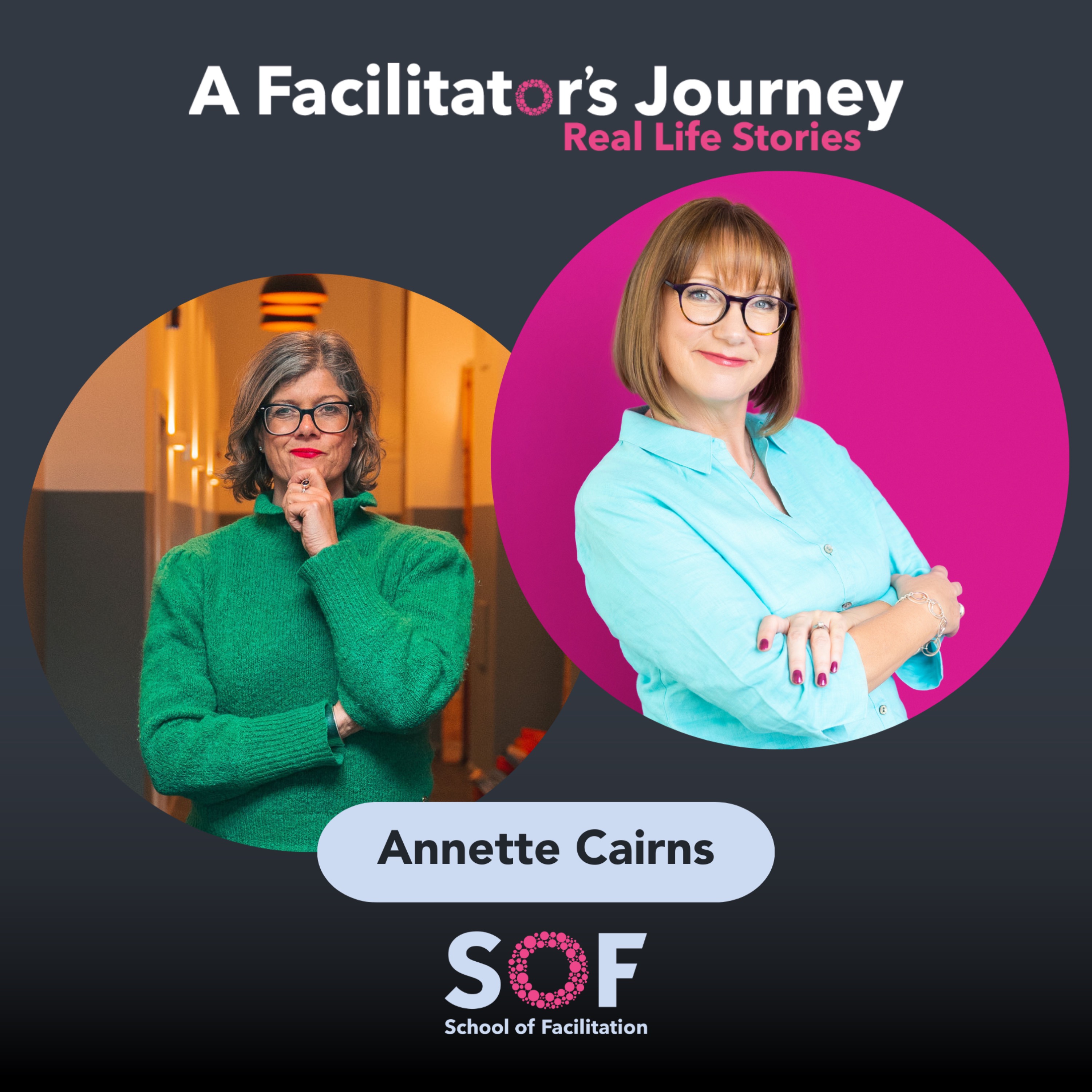 A Facilitator\'s Journey: Real Life Stories