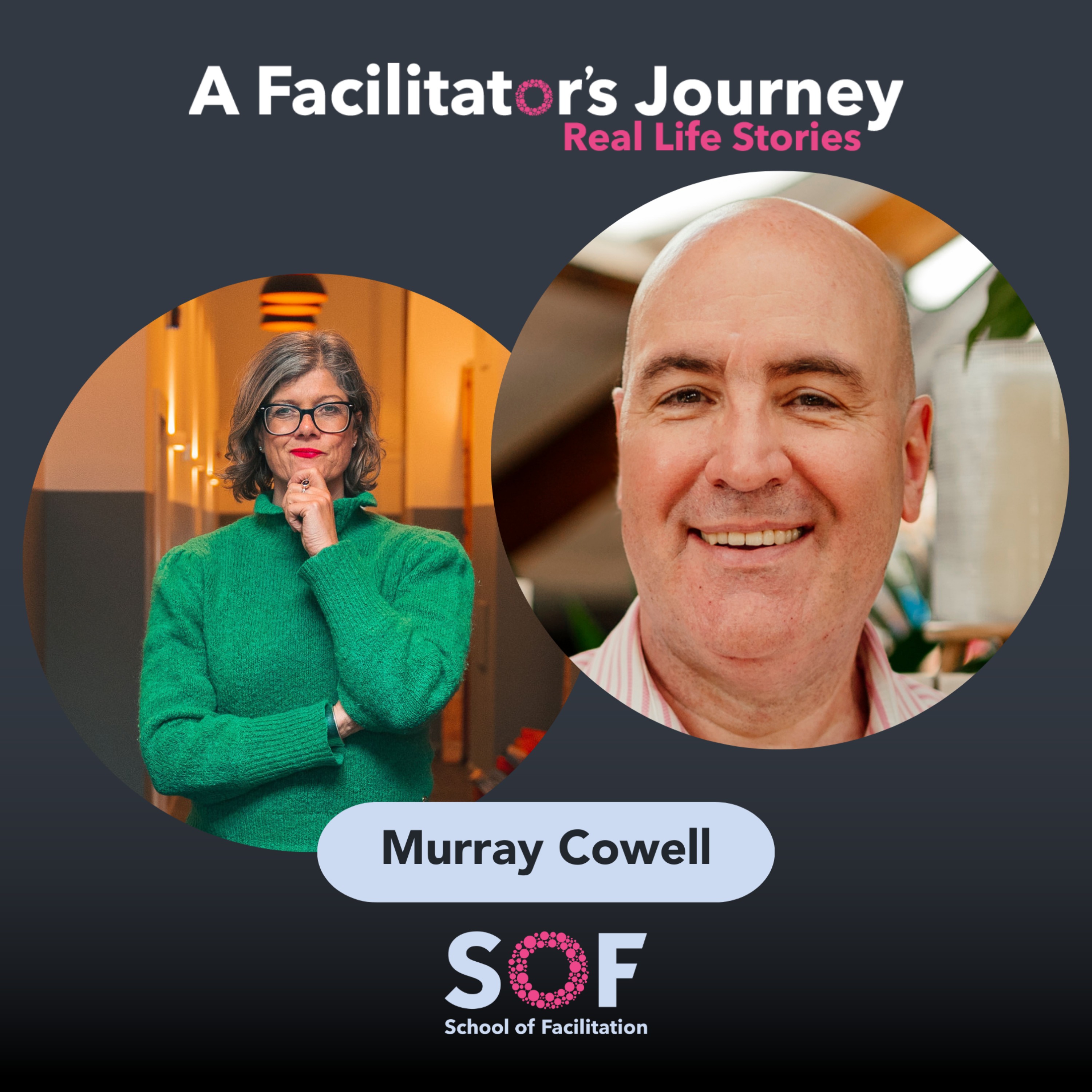 A Facilitator\'s Journey: Real Life Stories