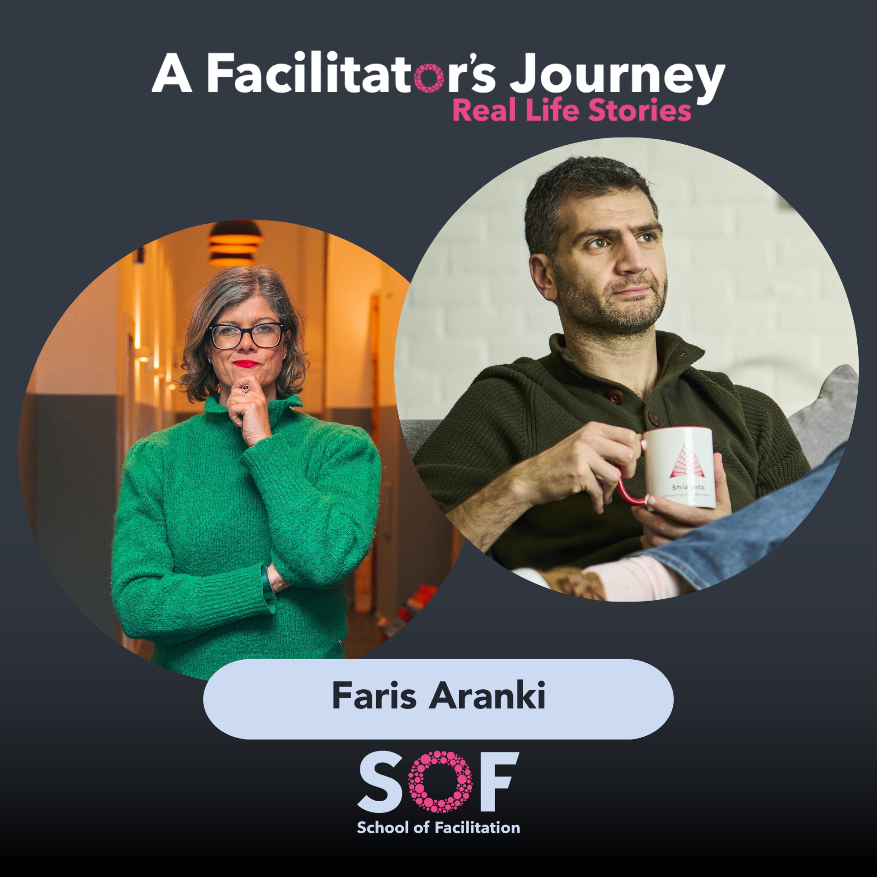 A Facilitator\'s Journey: Real Life Stories