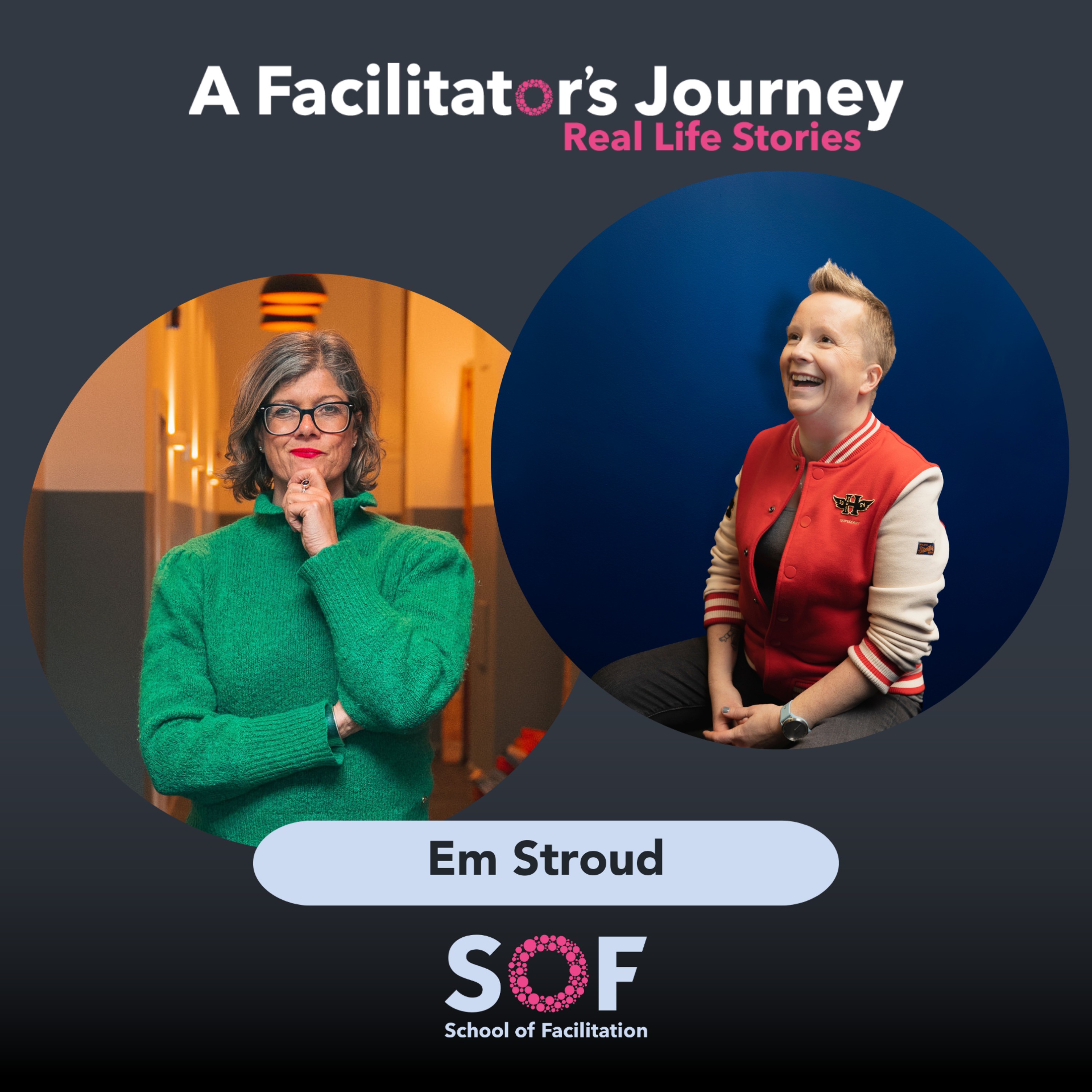 A Facilitator\'s Journey: Real Life Stories