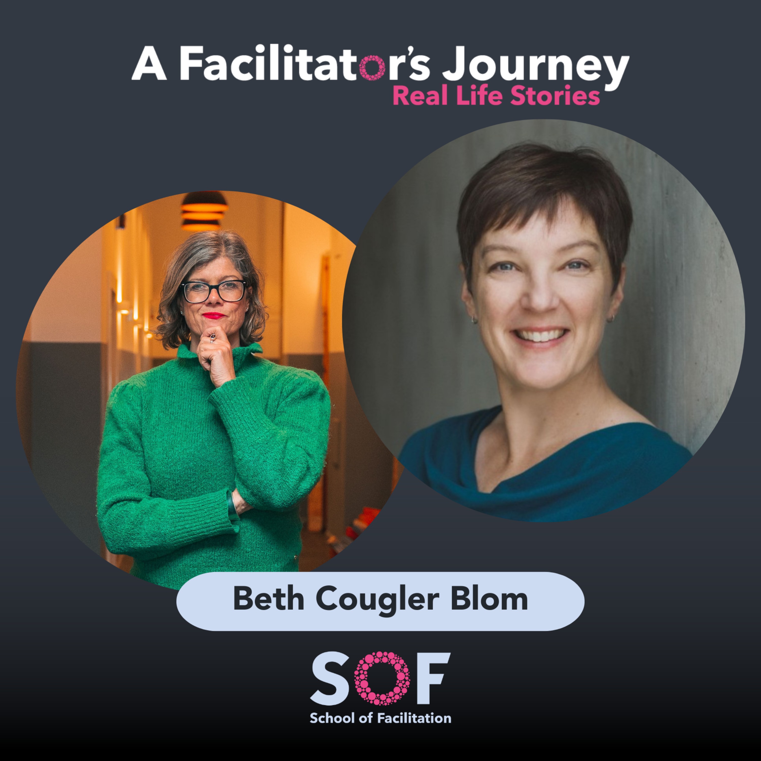 A Facilitator\'s Journey: Real Life Stories