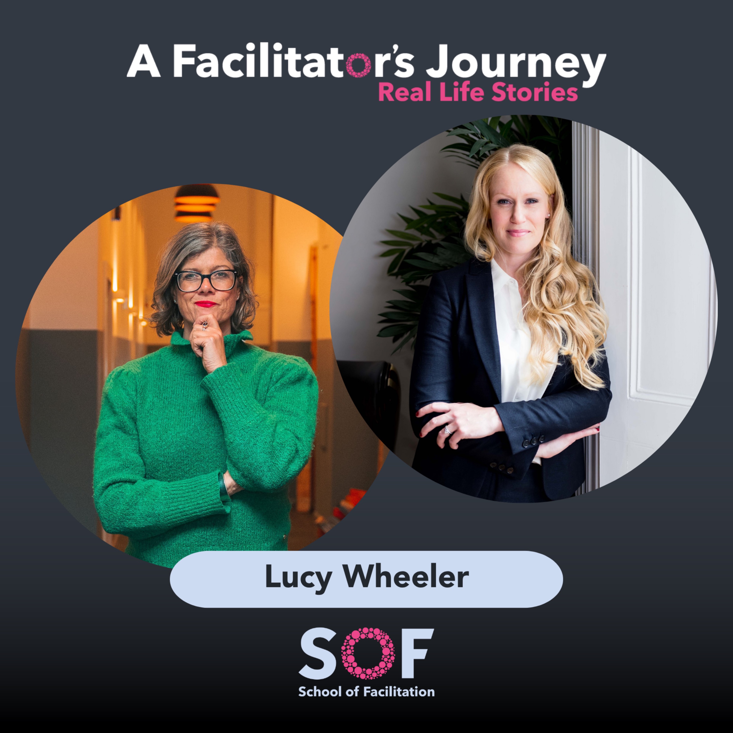 A Facilitator\'s Journey: Real Life Stories