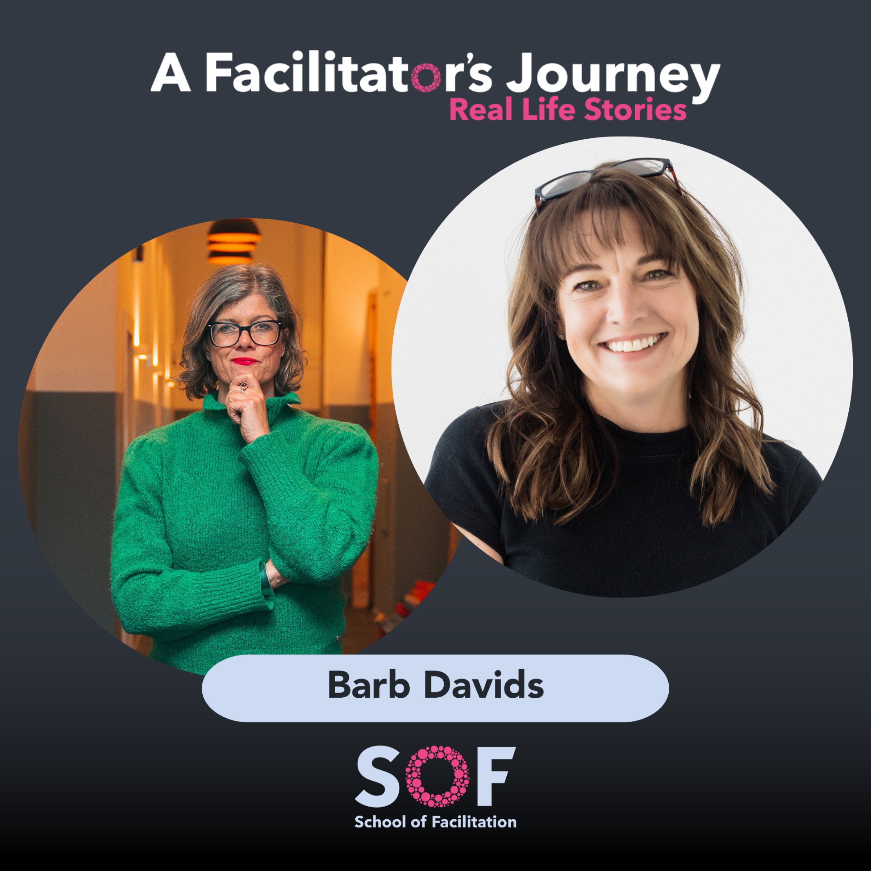 A Facilitator\'s Journey: Real Life Stories