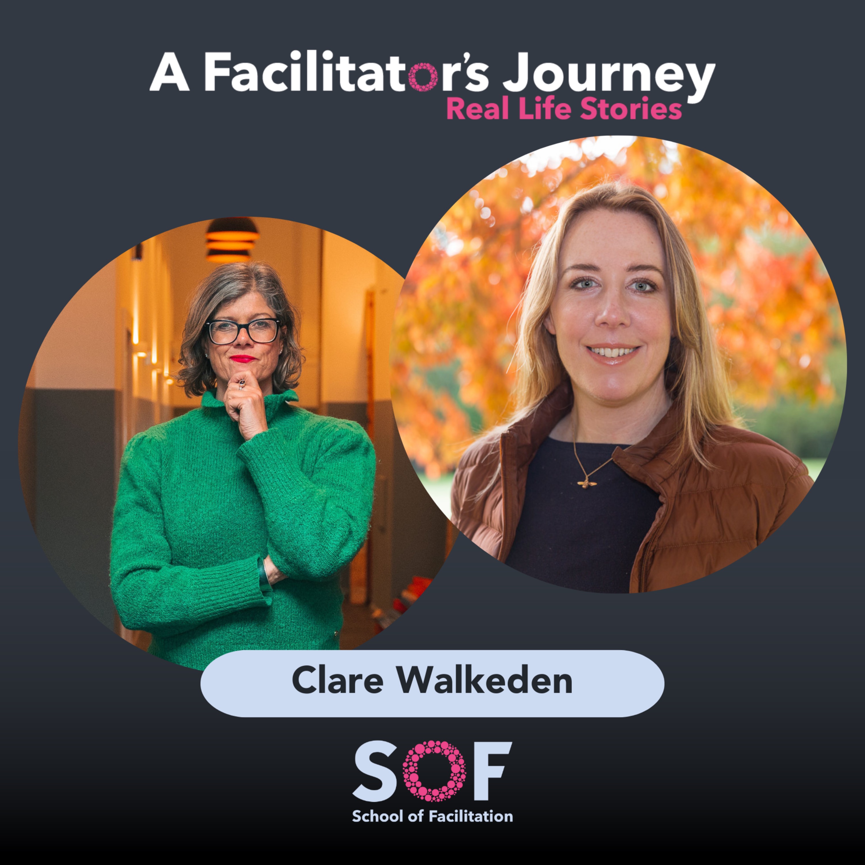 A Facilitator\'s Journey: Real Life Stories