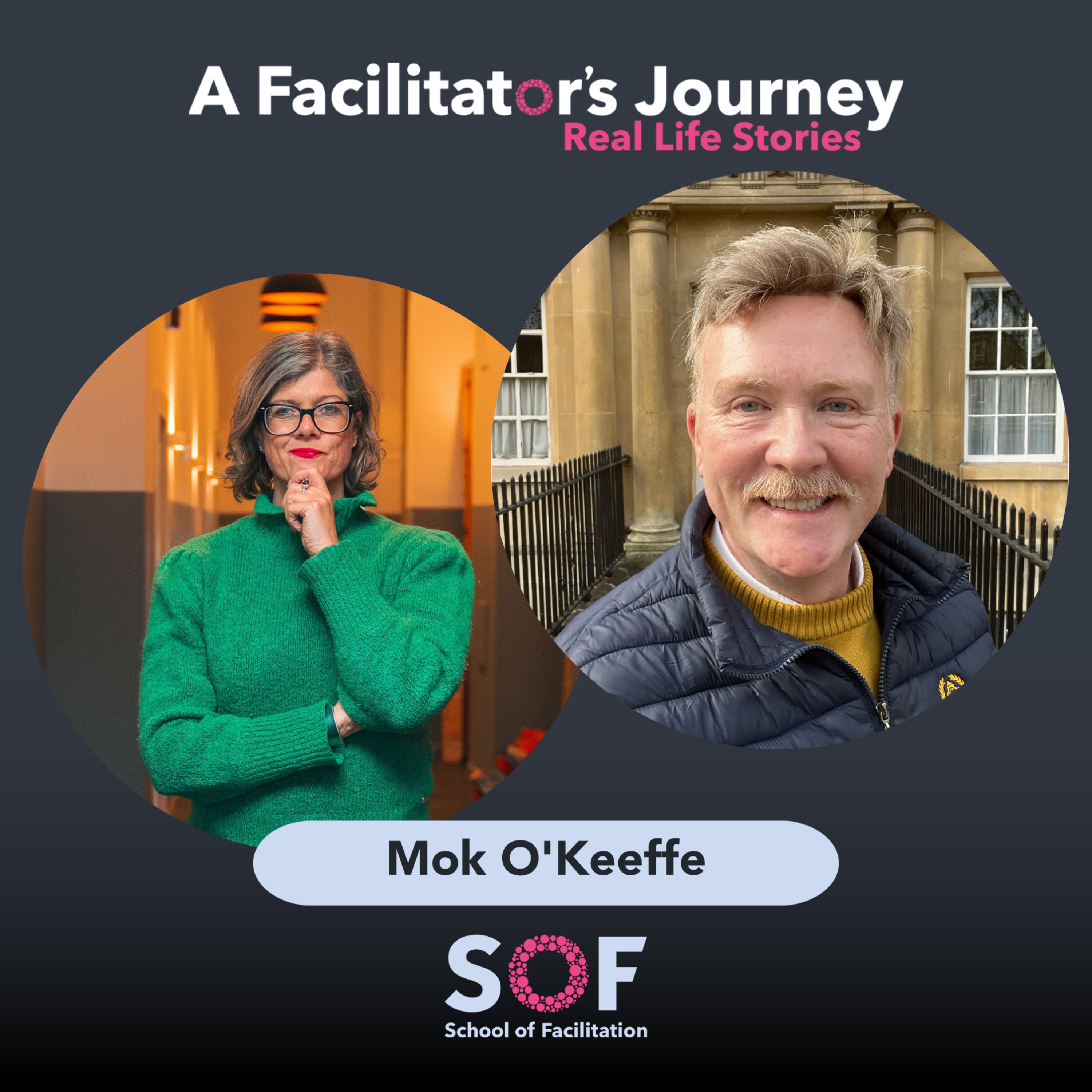 A Facilitator\'s Journey: Real Life Stories
