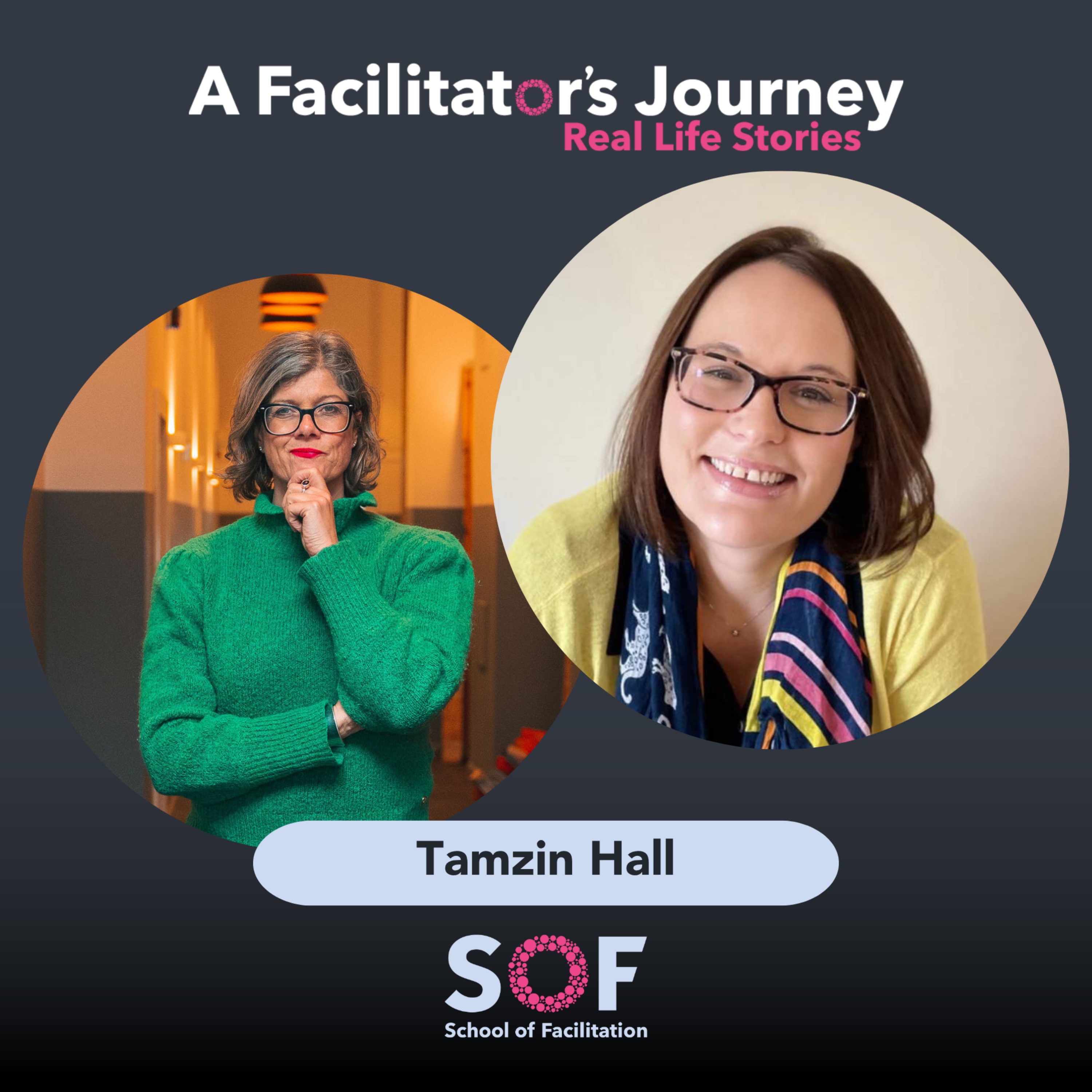 A Facilitator\'s Journey: Real Life Stories