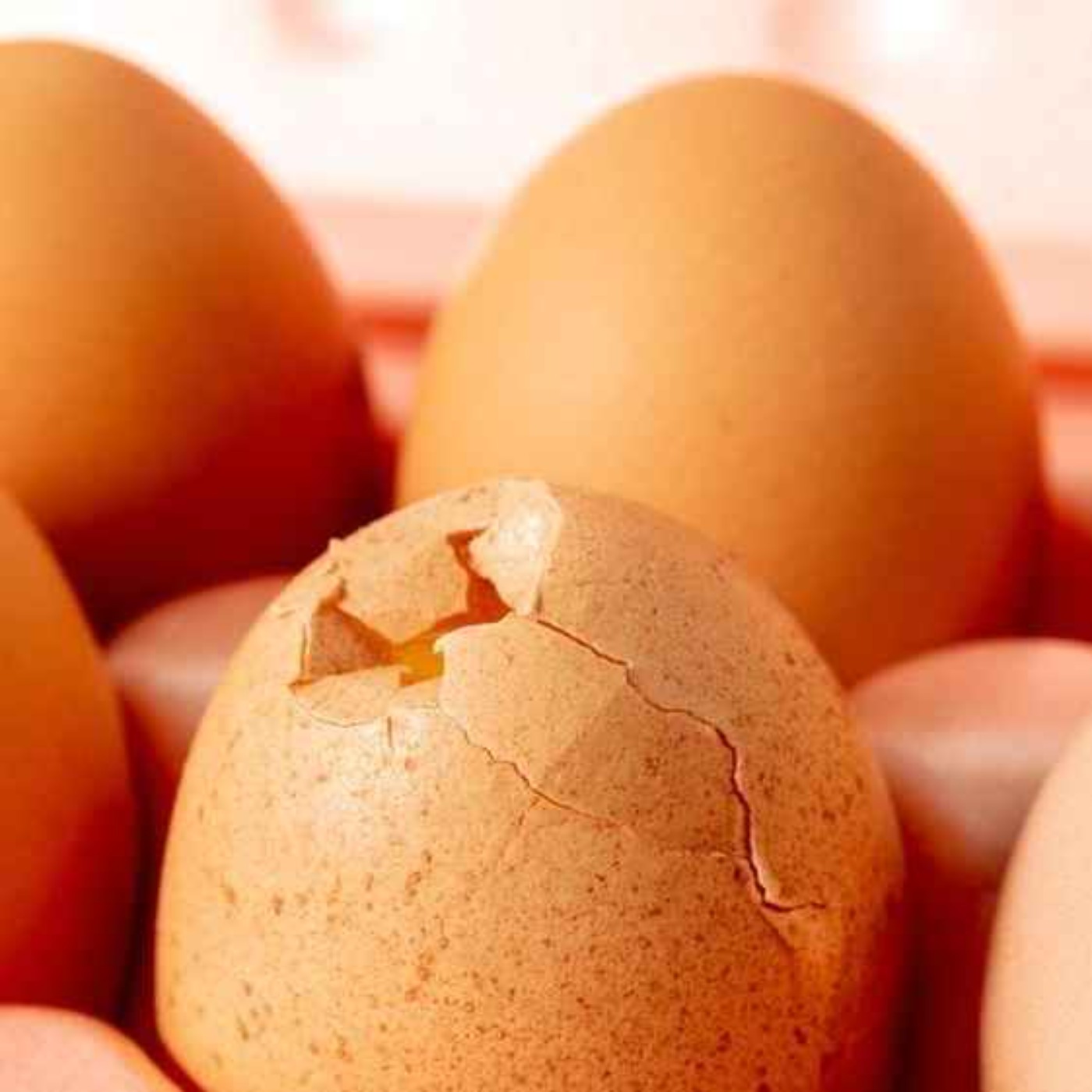 Eggshells Part 3 episode artwork