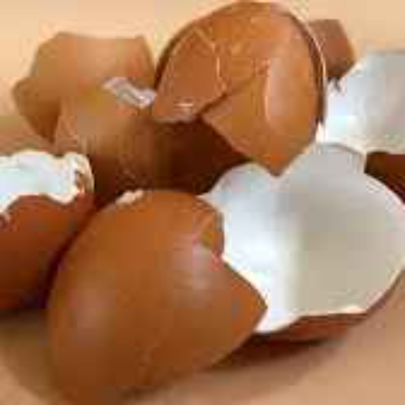 Eggshells Part 4 episode artwork
