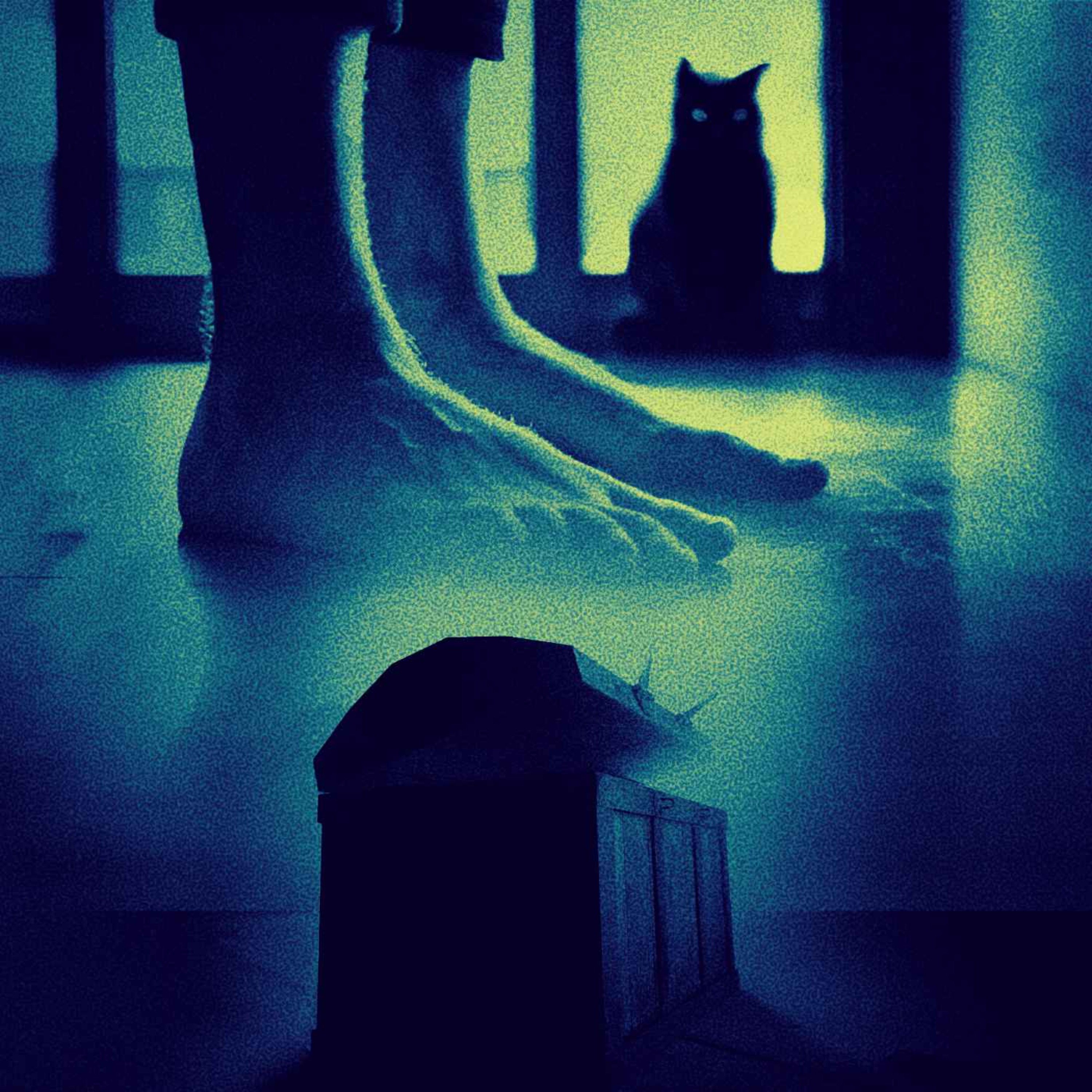 Pies Fríos episode artwork