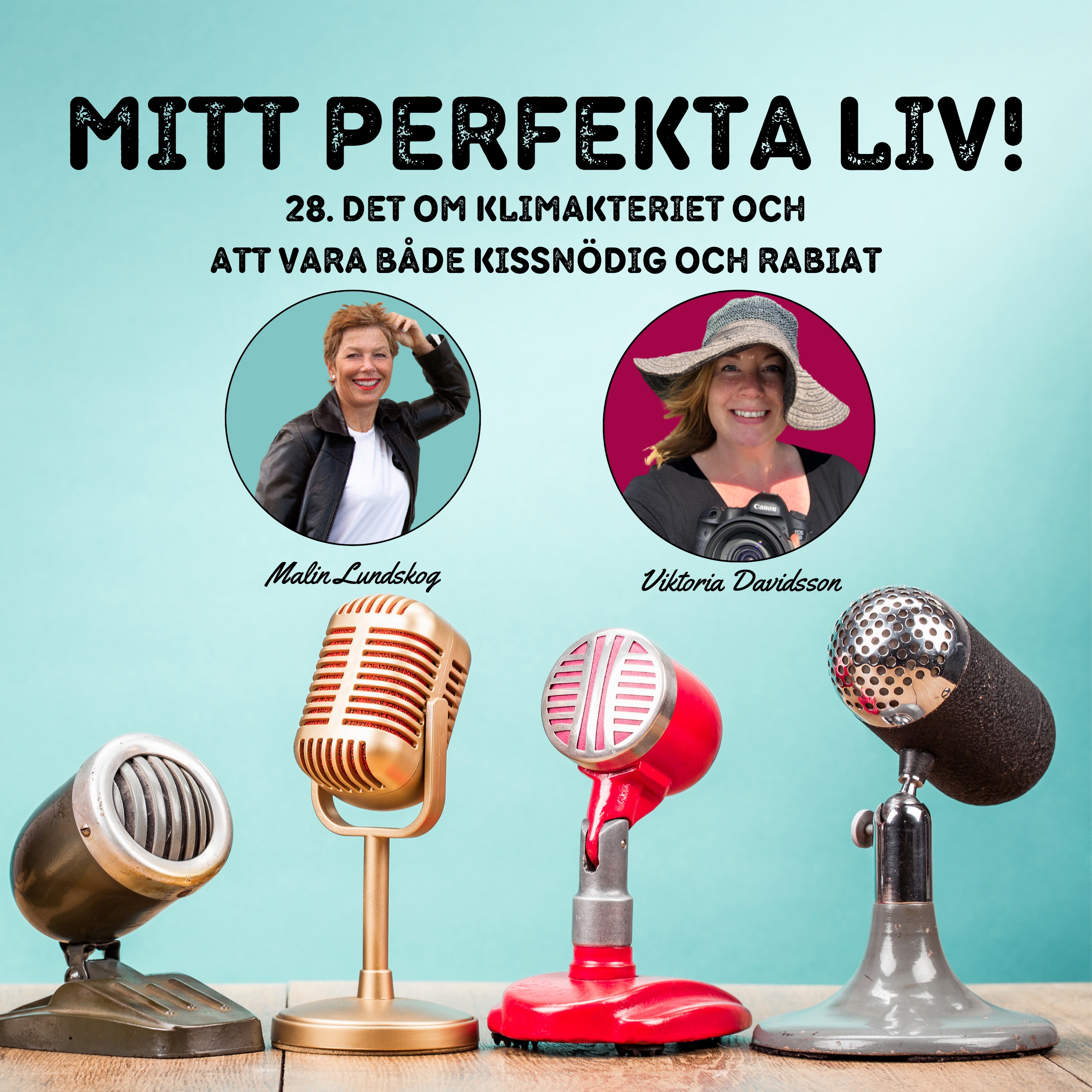 mitt perfekta liv