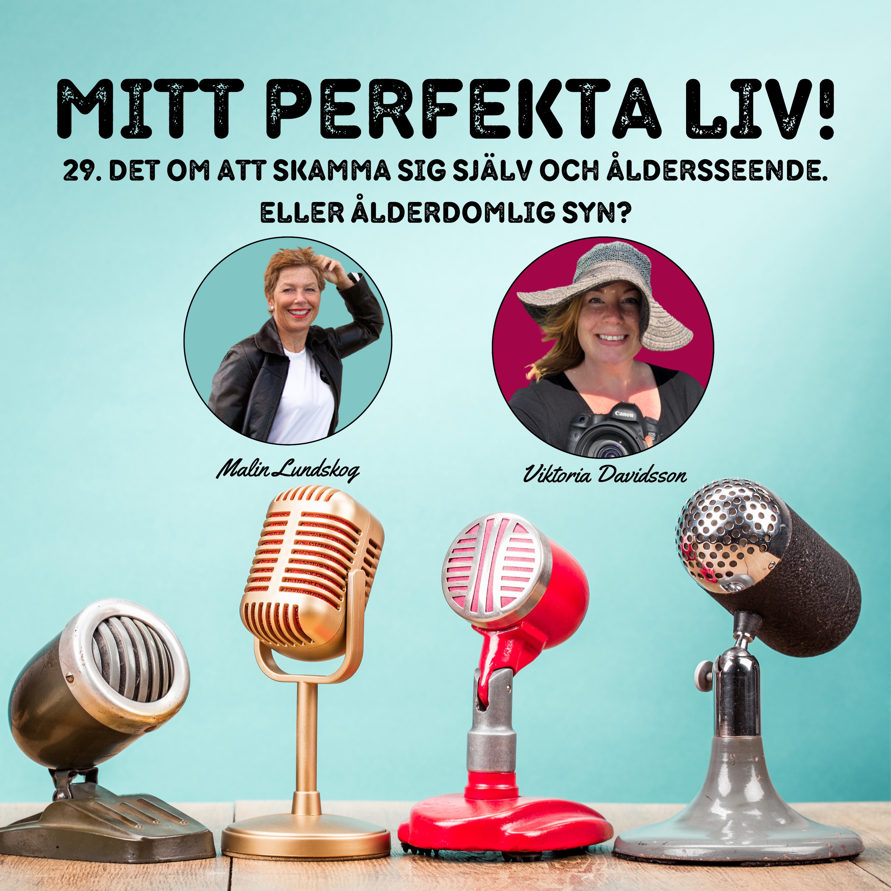 cover art for Det om att skamma sig själv och åldersseende