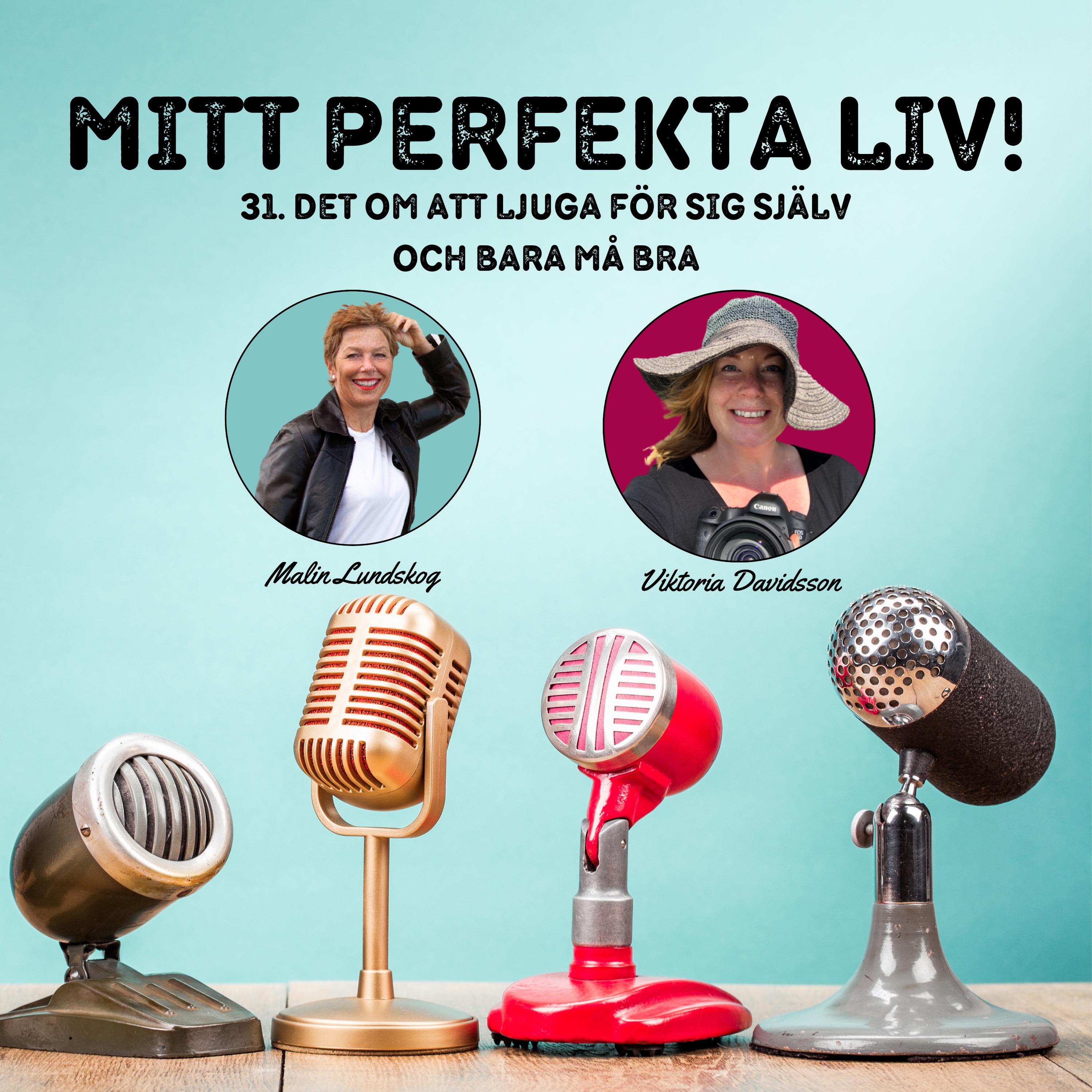 mitt perfekta liv