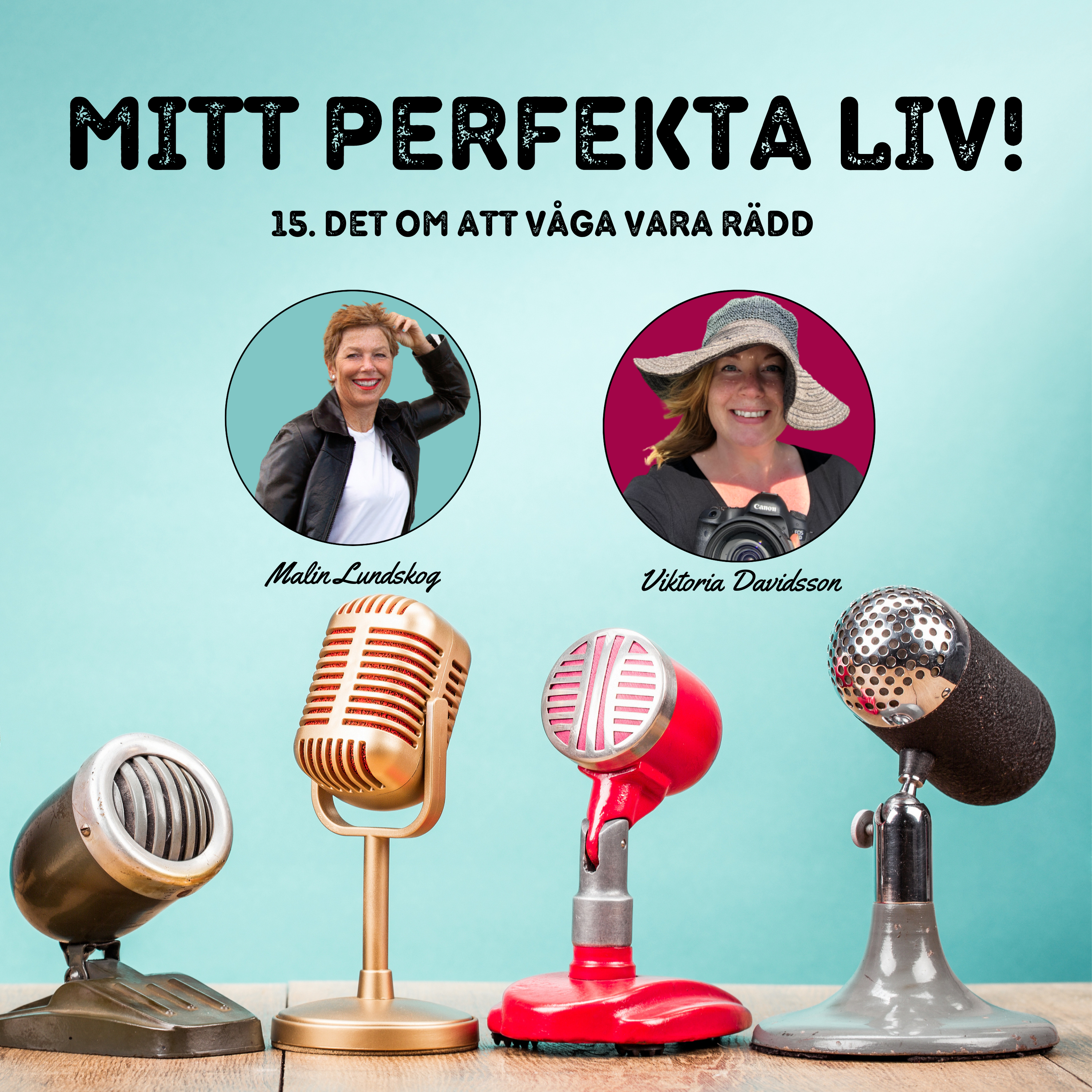 mitt perfekta liv