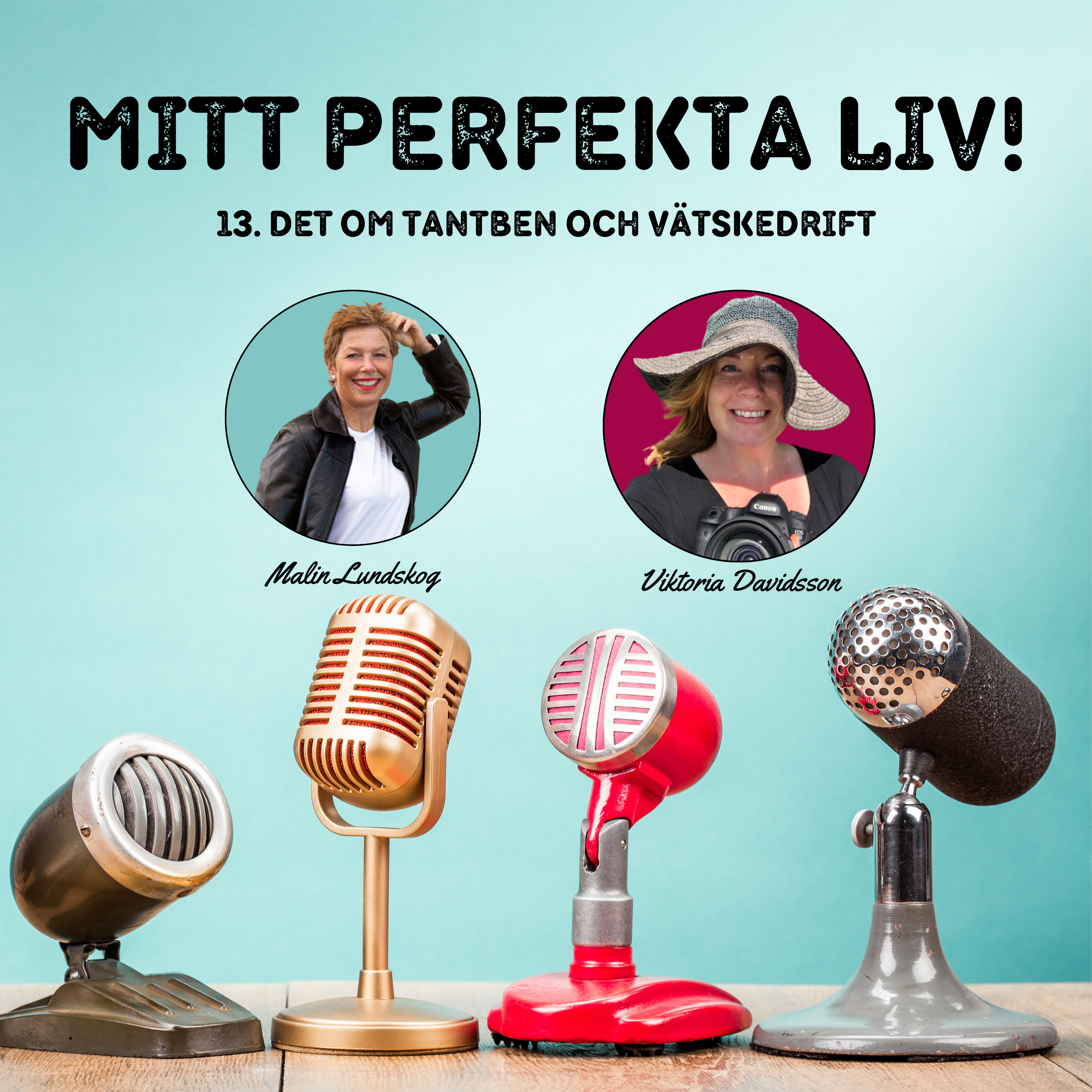 mitt perfekta liv