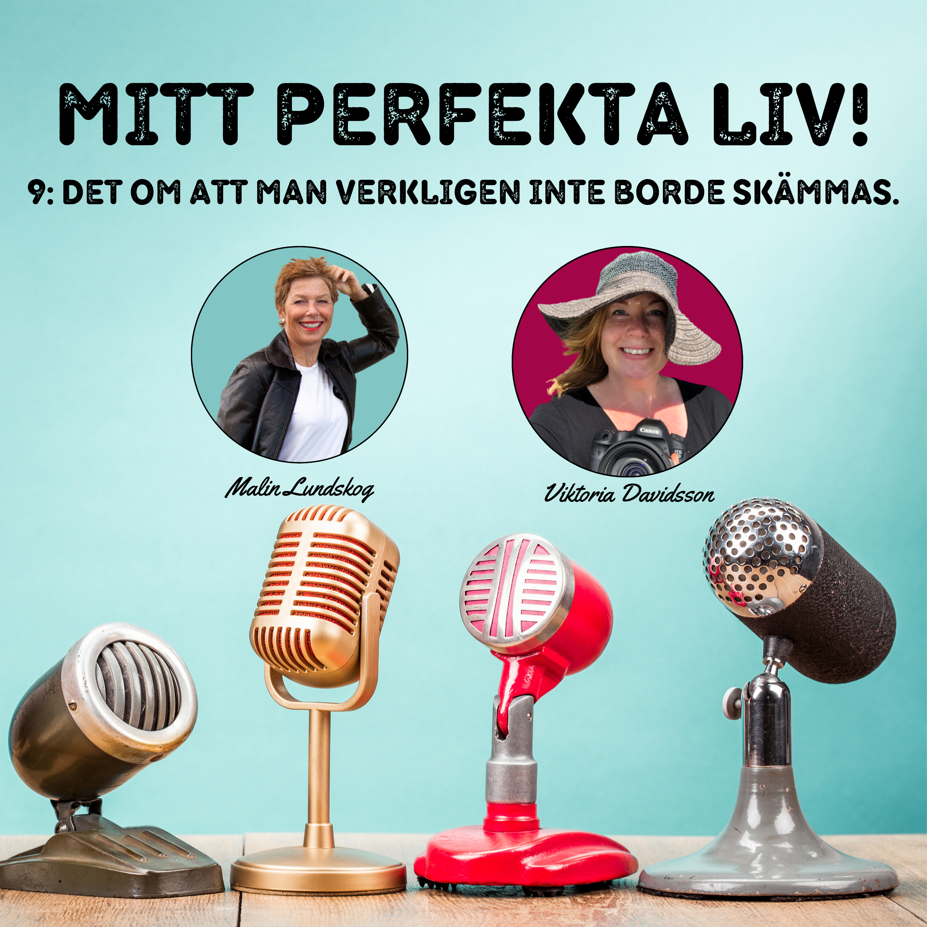 mitt perfekta liv