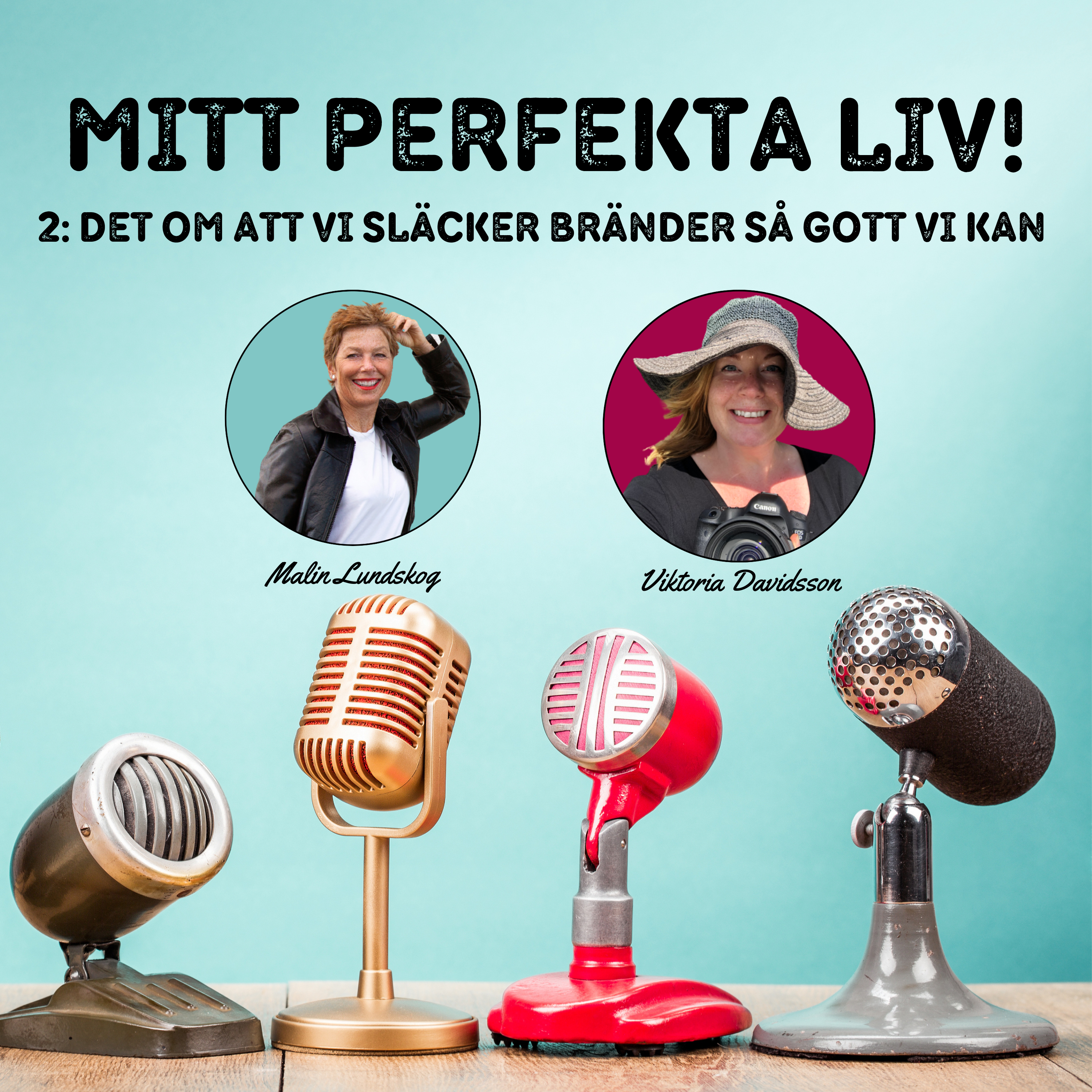 mitt perfekta liv