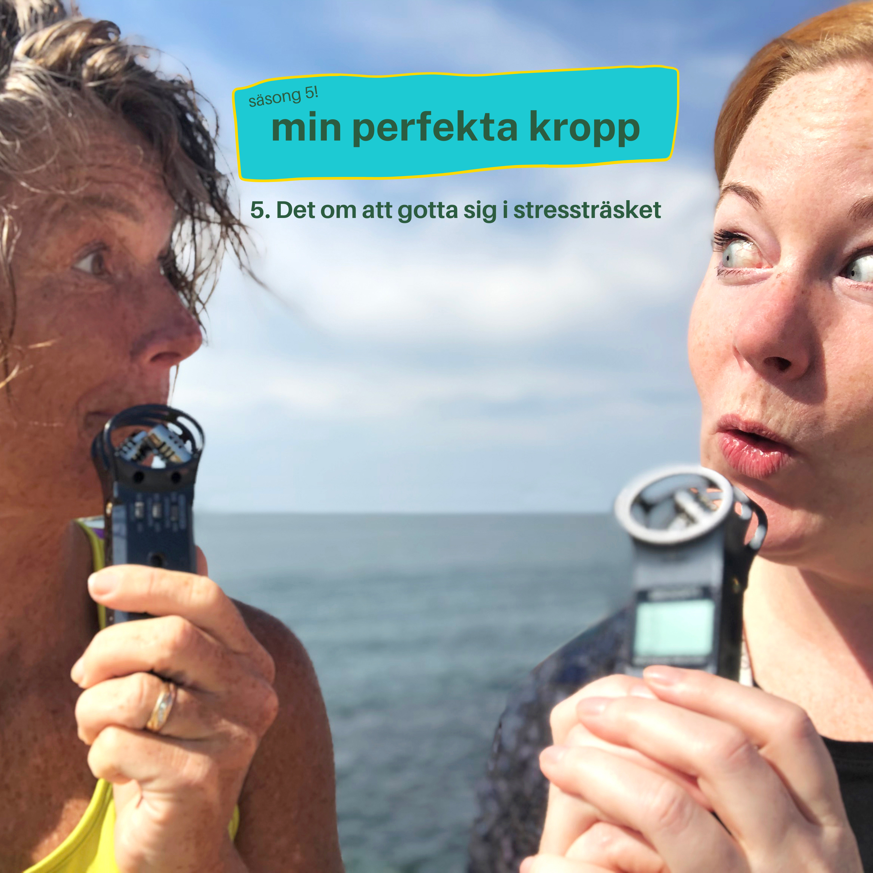 mitt perfekta liv