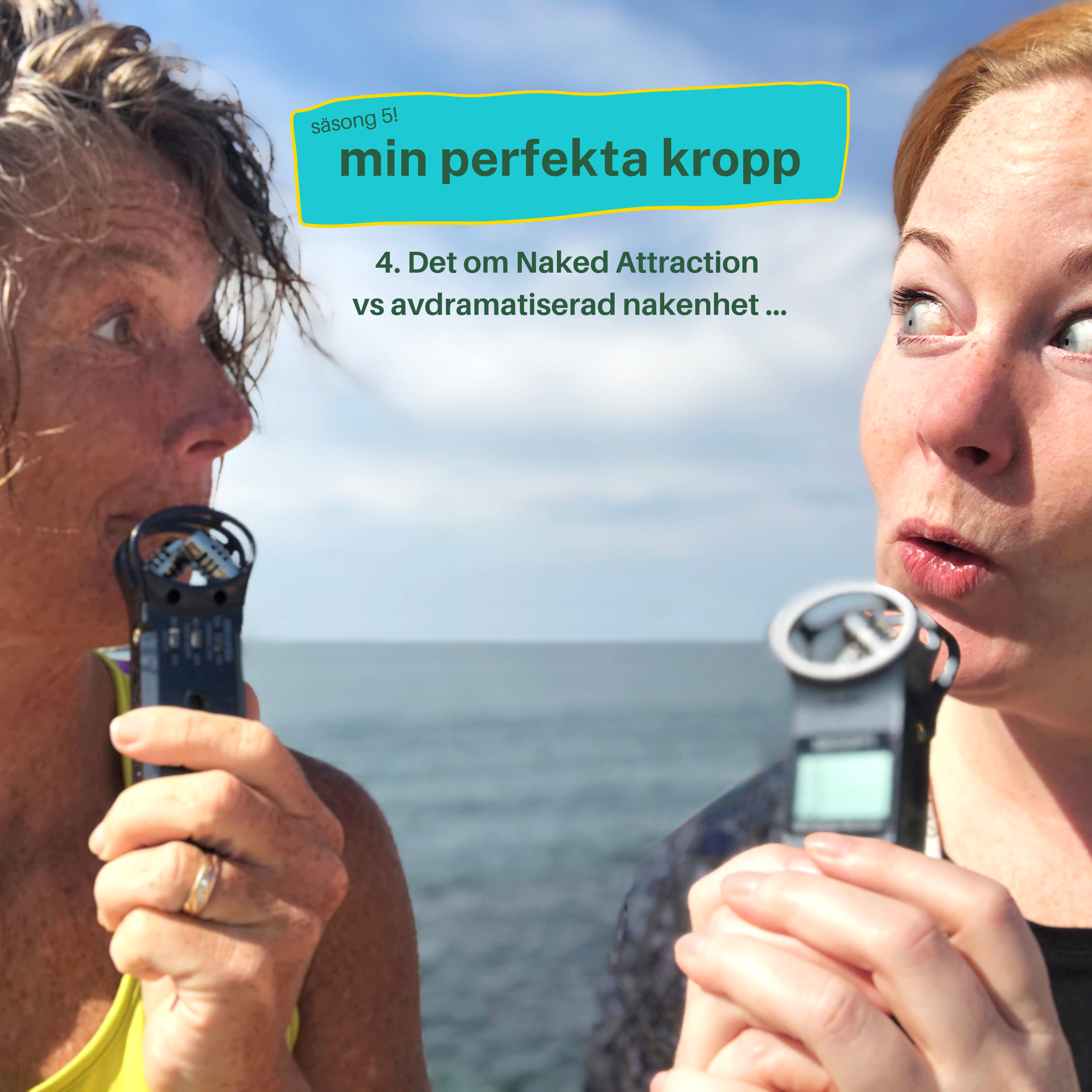 mitt perfekta liv