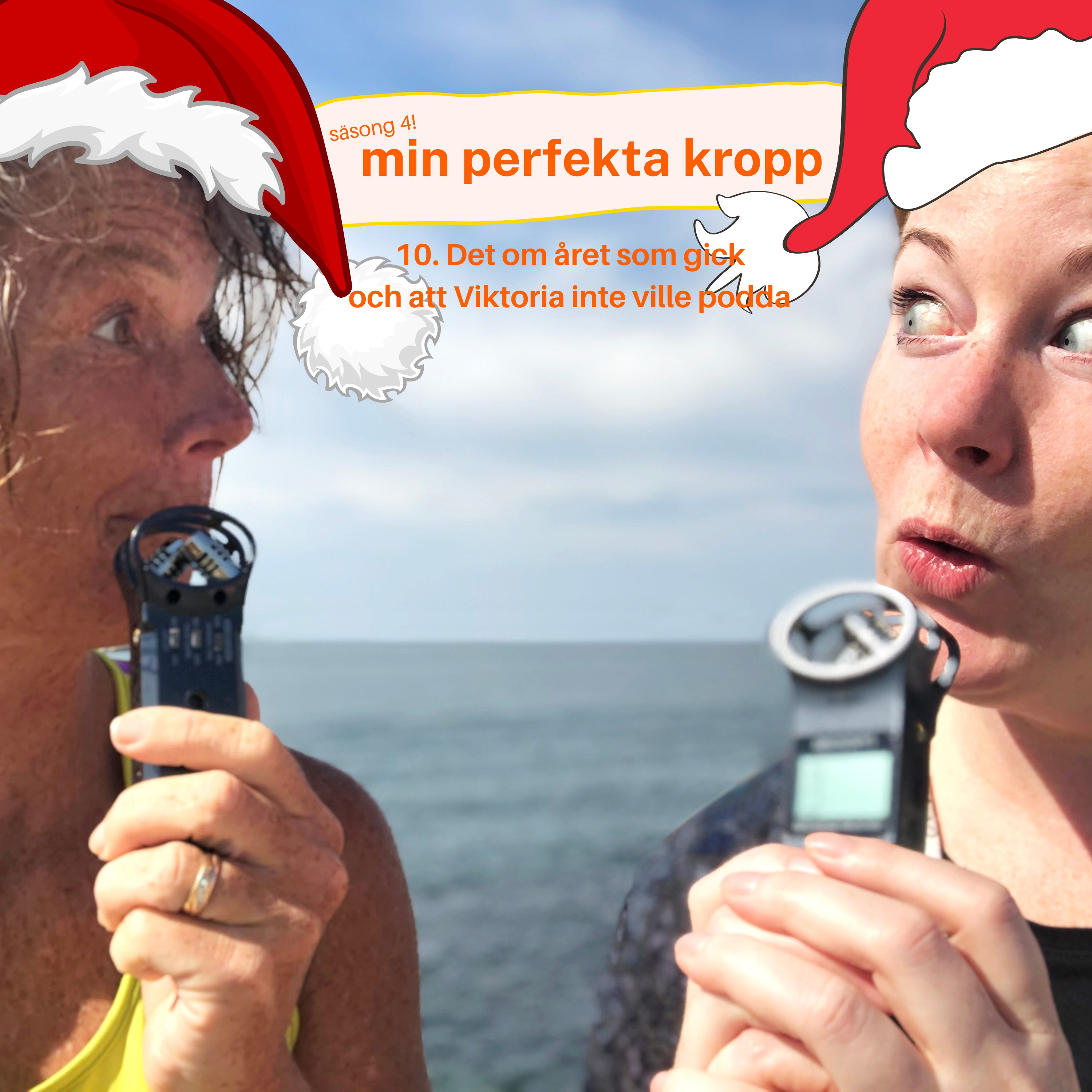 mitt perfekta liv