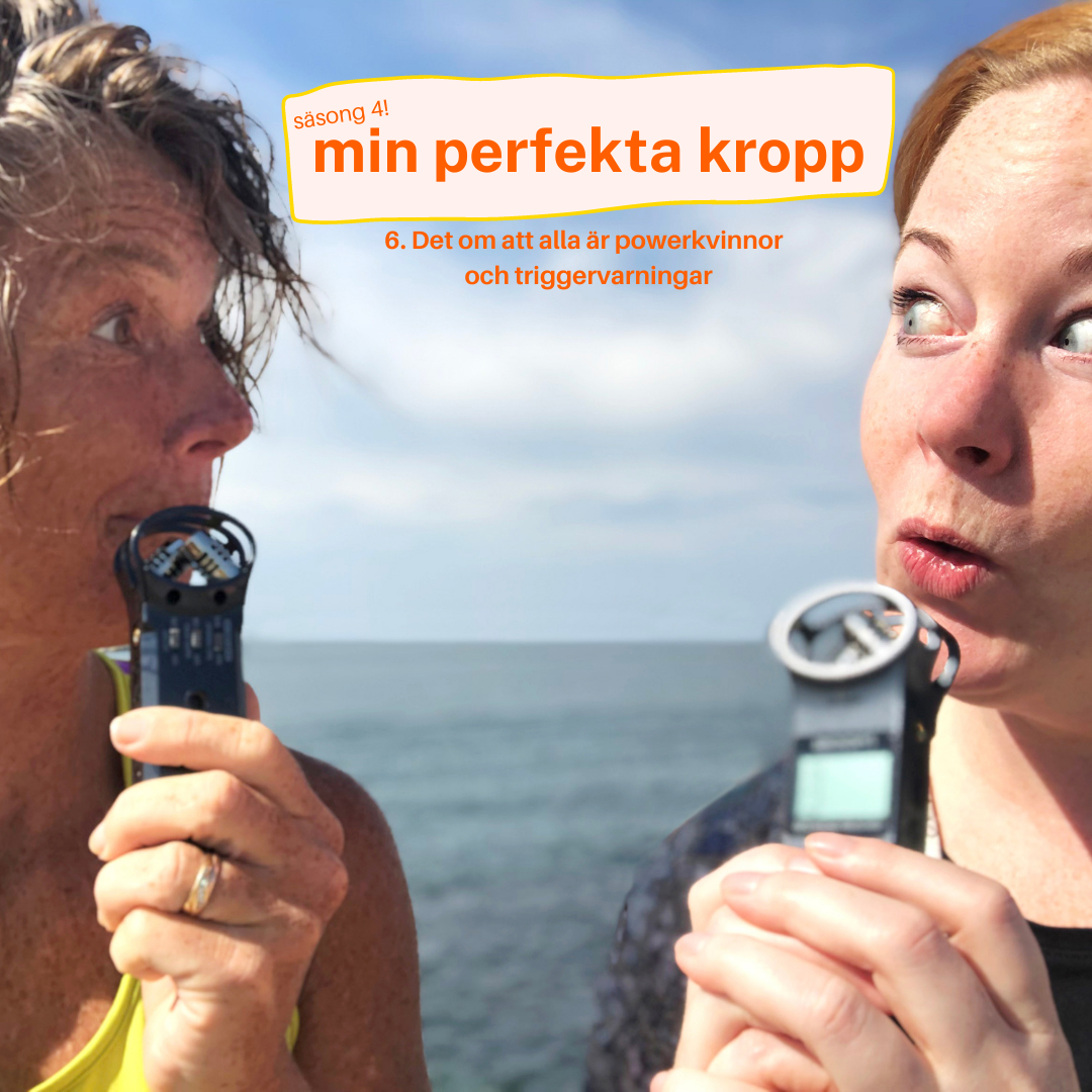 mitt perfekta liv
