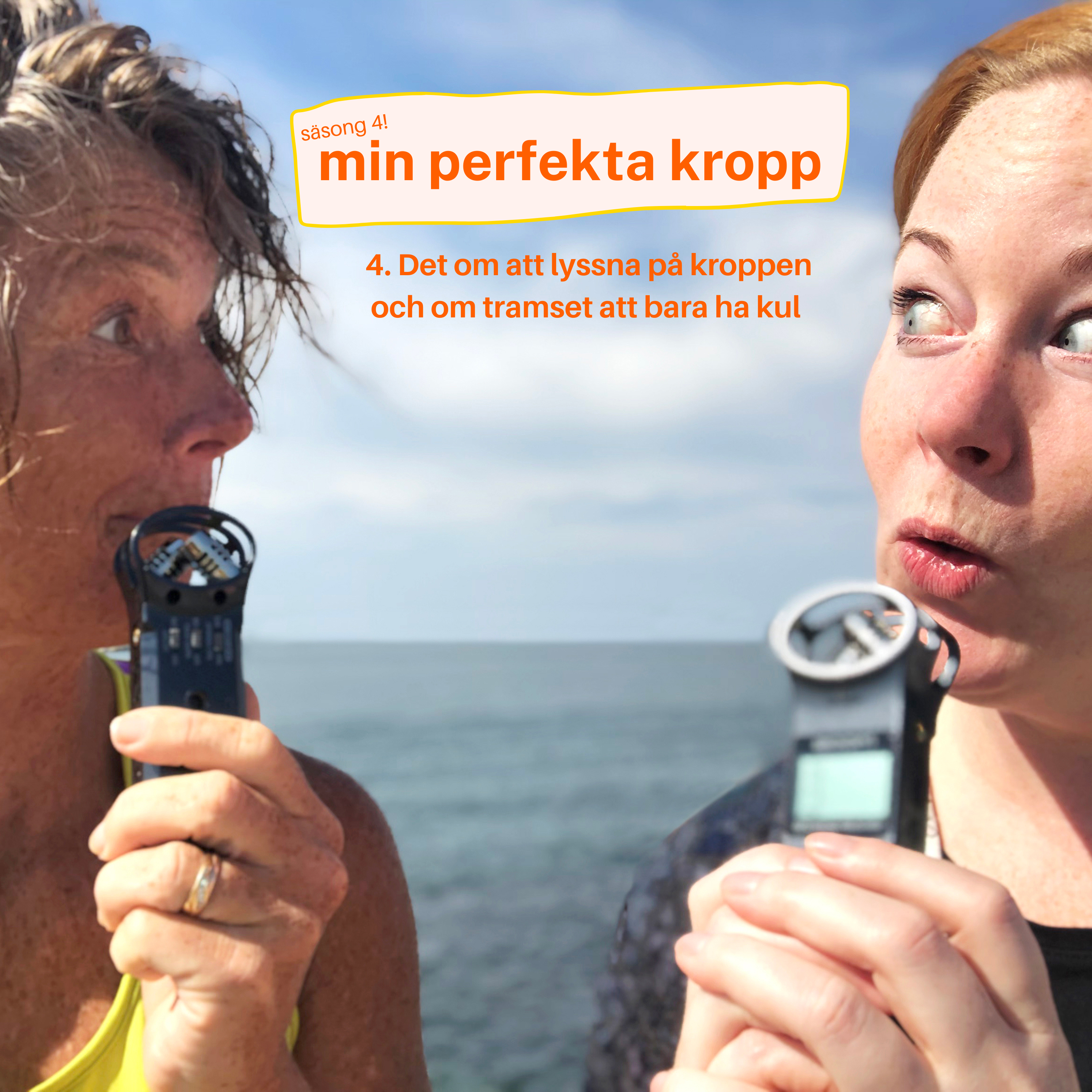 mitt perfekta liv
