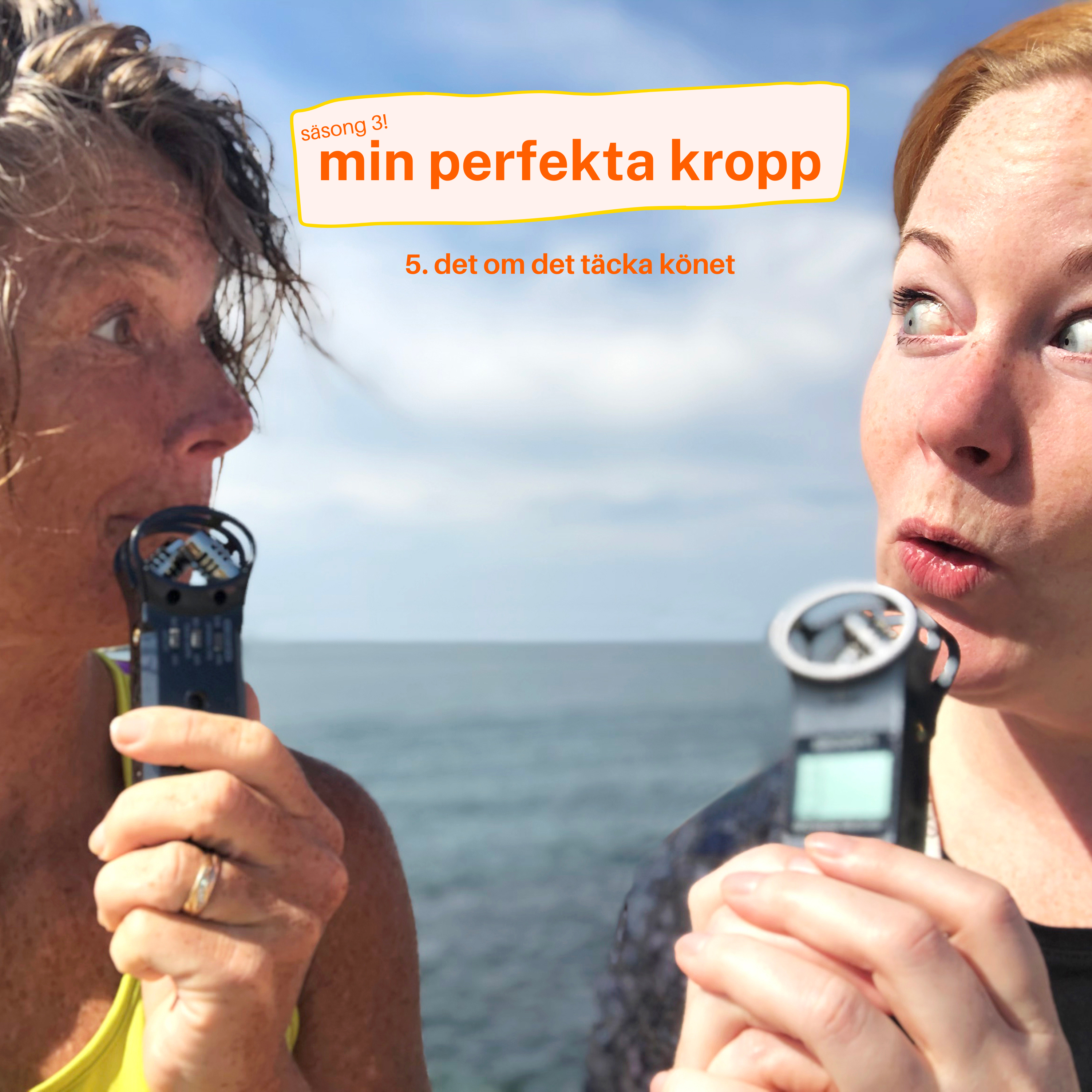 mitt perfekta liv