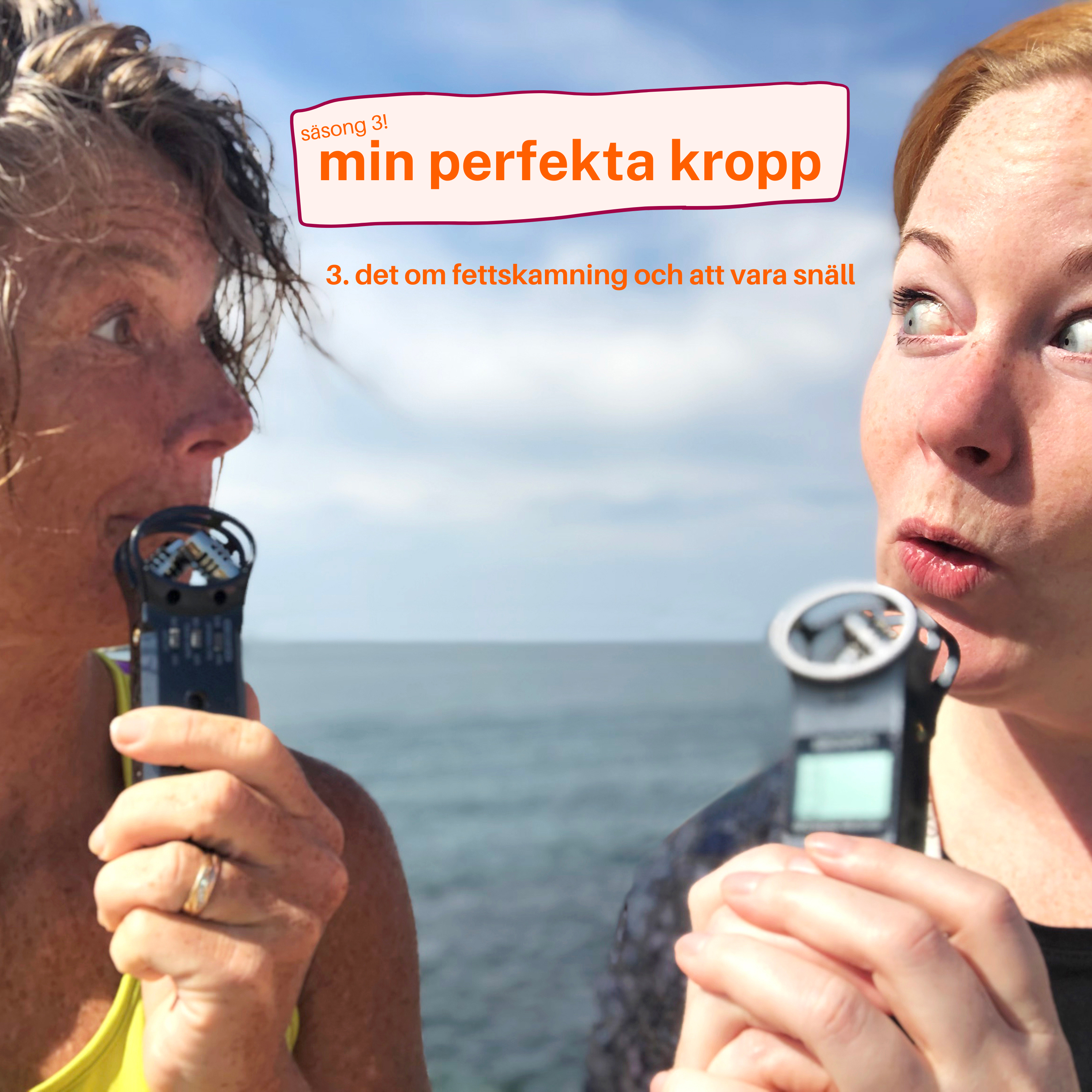 mitt perfekta liv