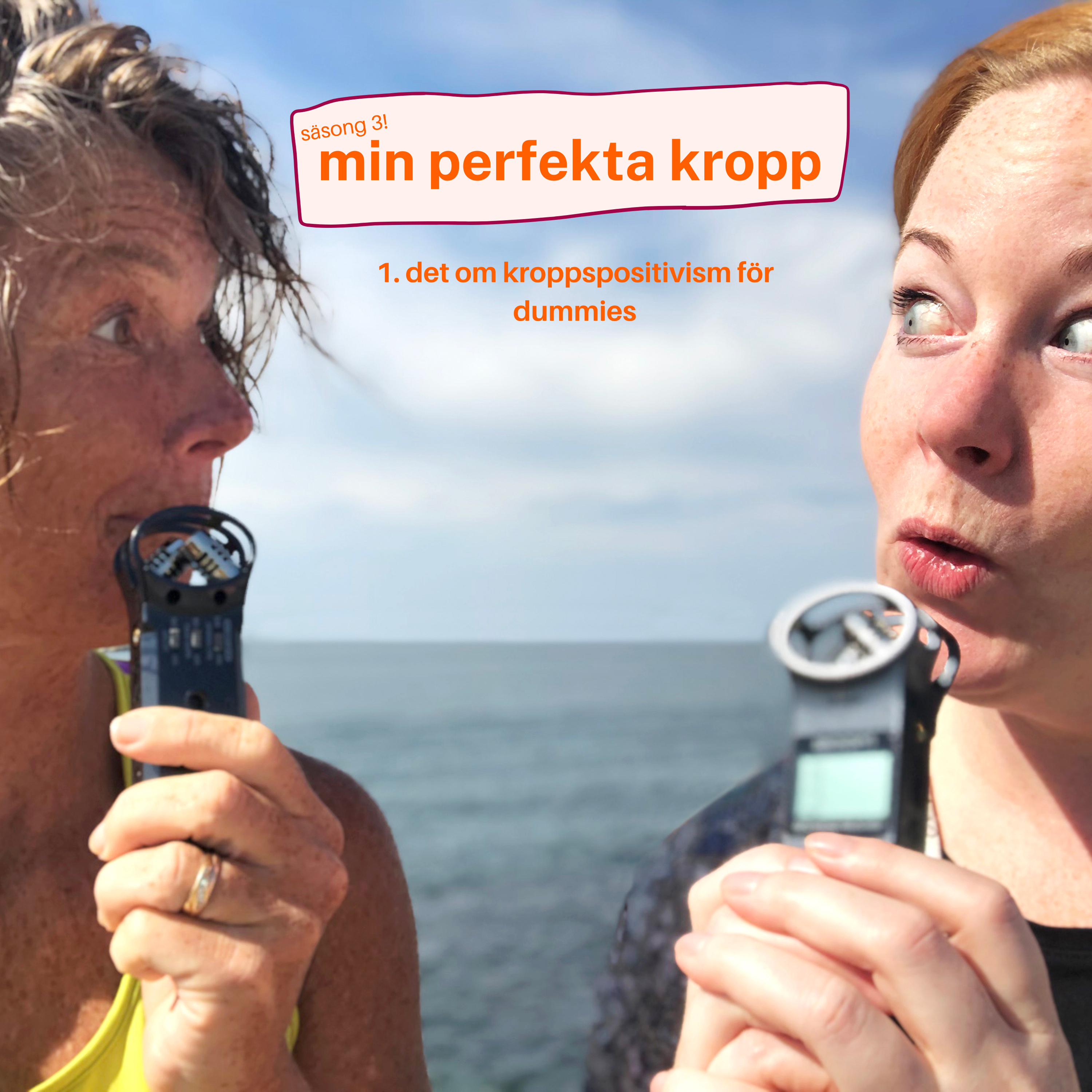 mitt perfekta liv