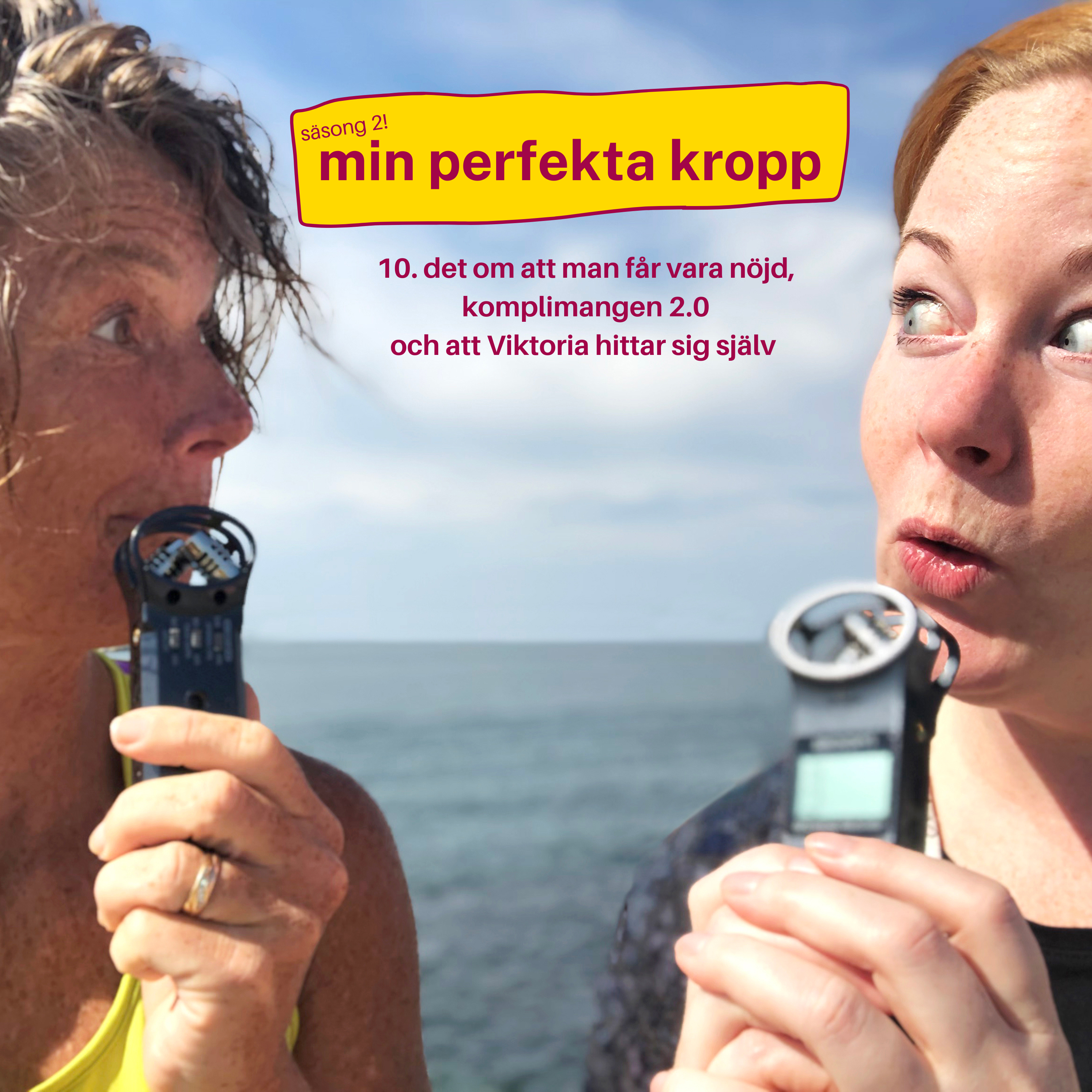 mitt perfekta liv