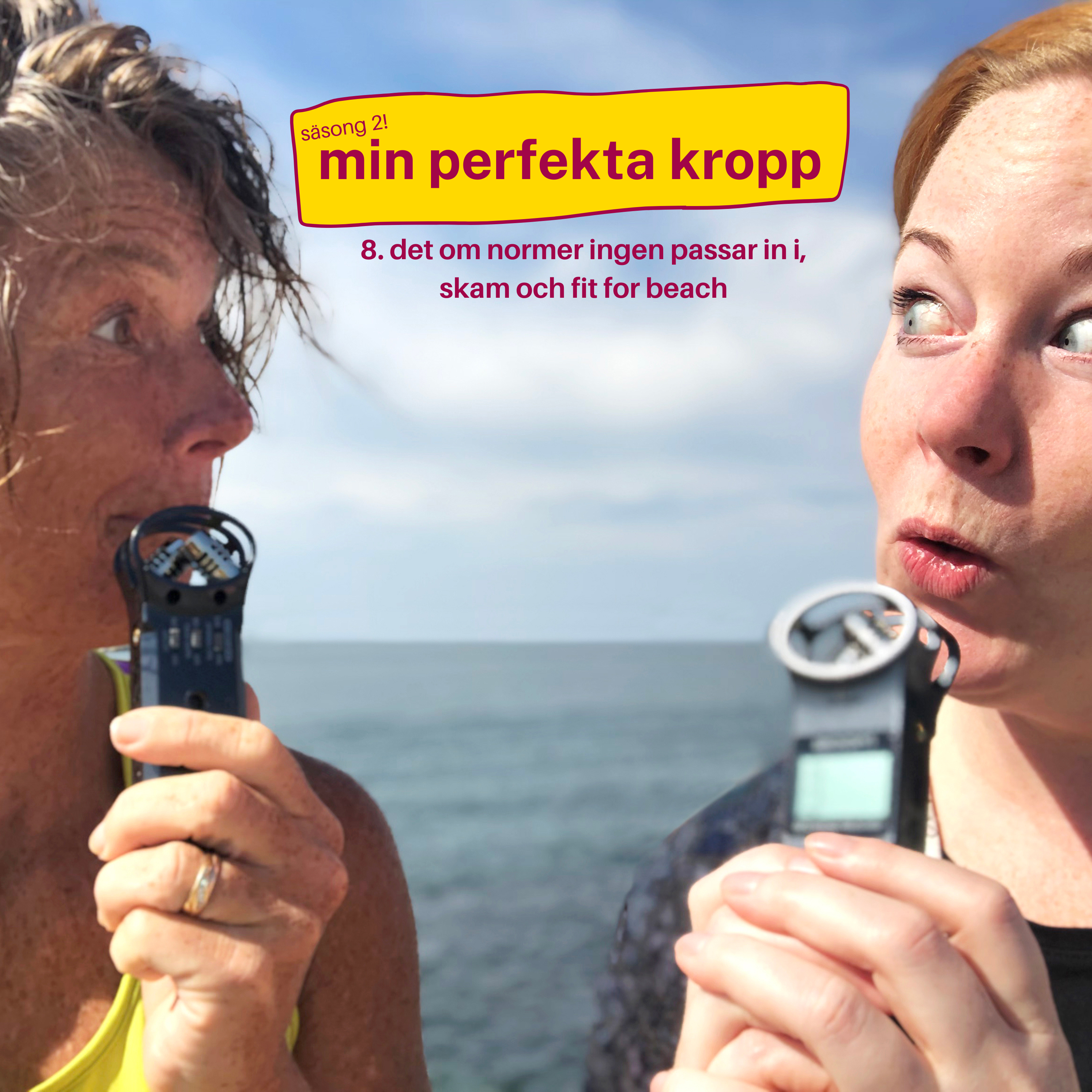 mitt perfekta liv
