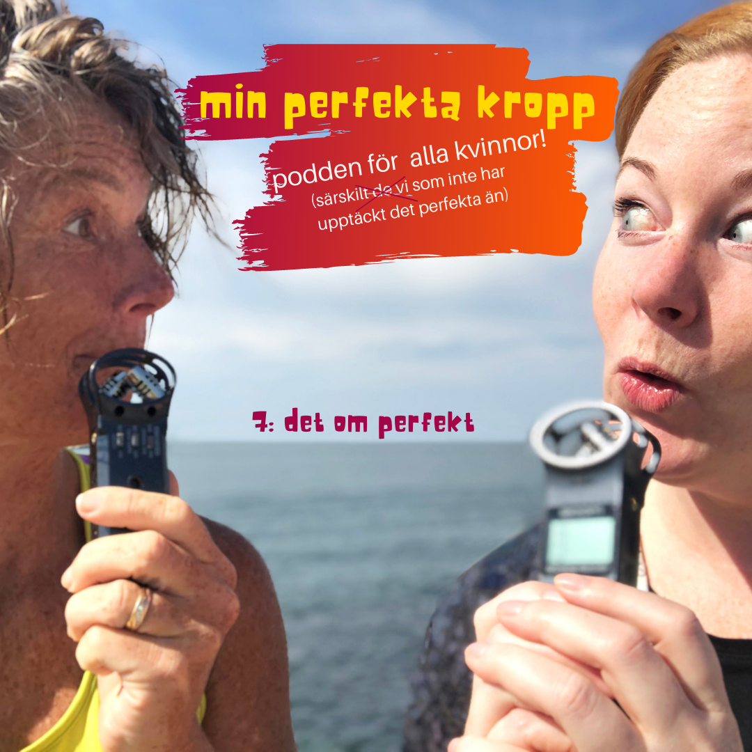 mitt perfekta liv