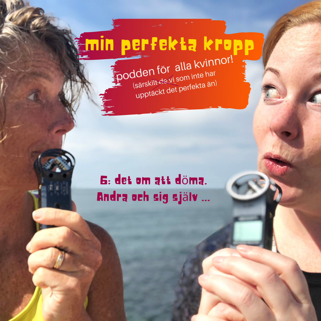 mitt perfekta liv