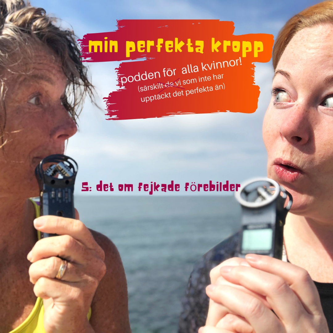 mitt perfekta liv